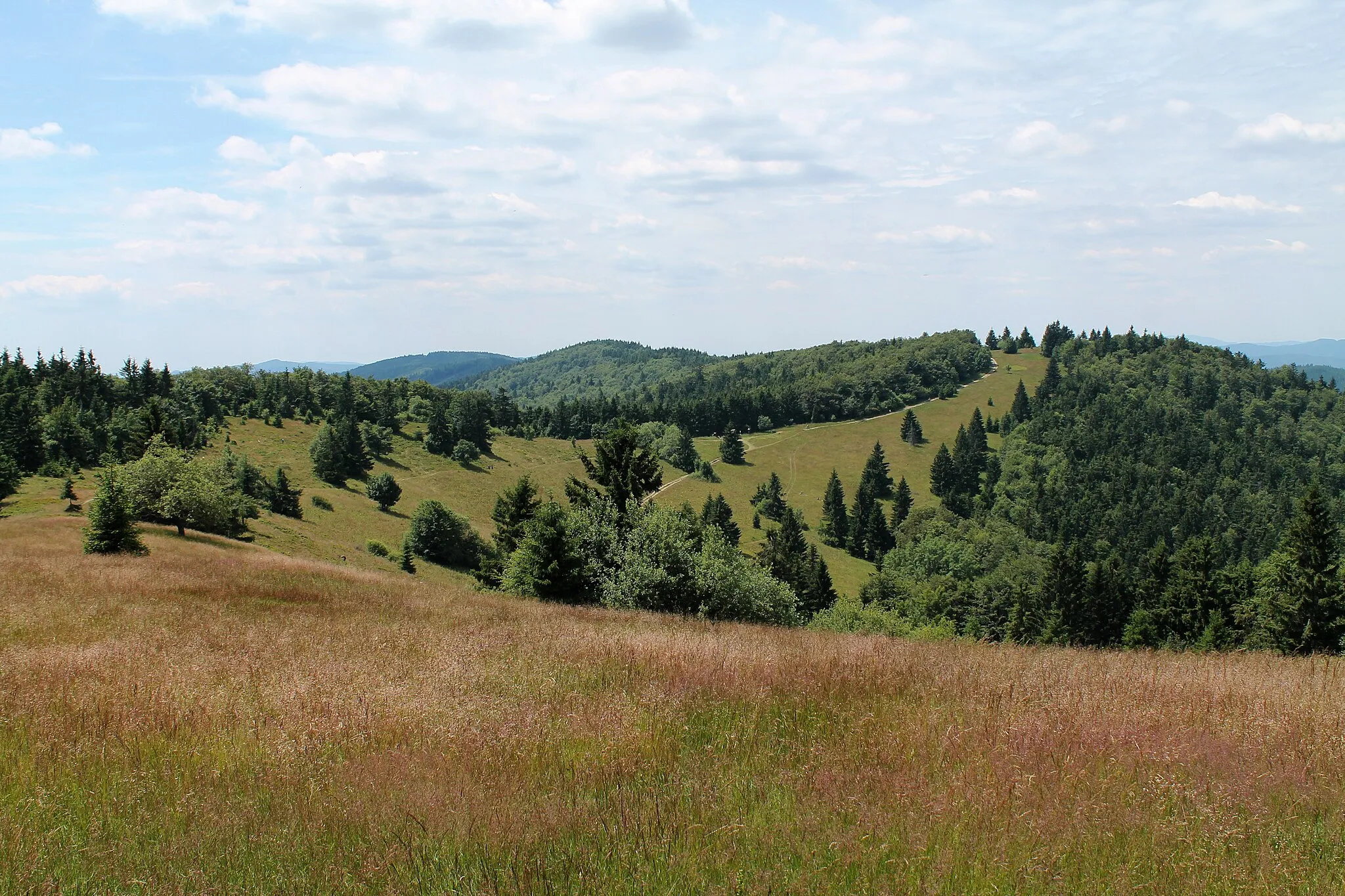 Photo showing: View from Veľký Javorník towards to Gežov saddle and Javorníky ridge, Makov, Čadca District, Slovakia