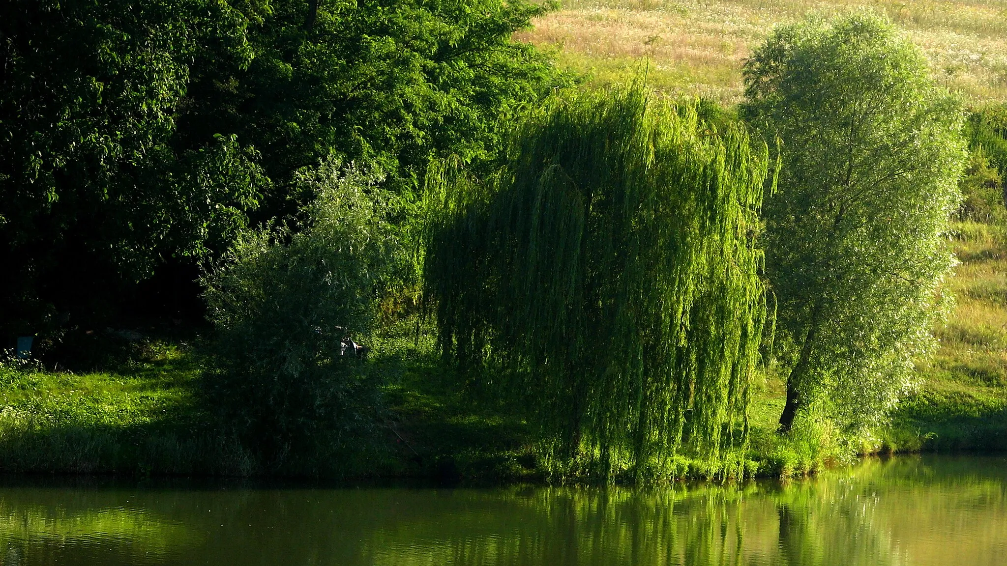 Photo showing: Nagybörzsöny, Hungary