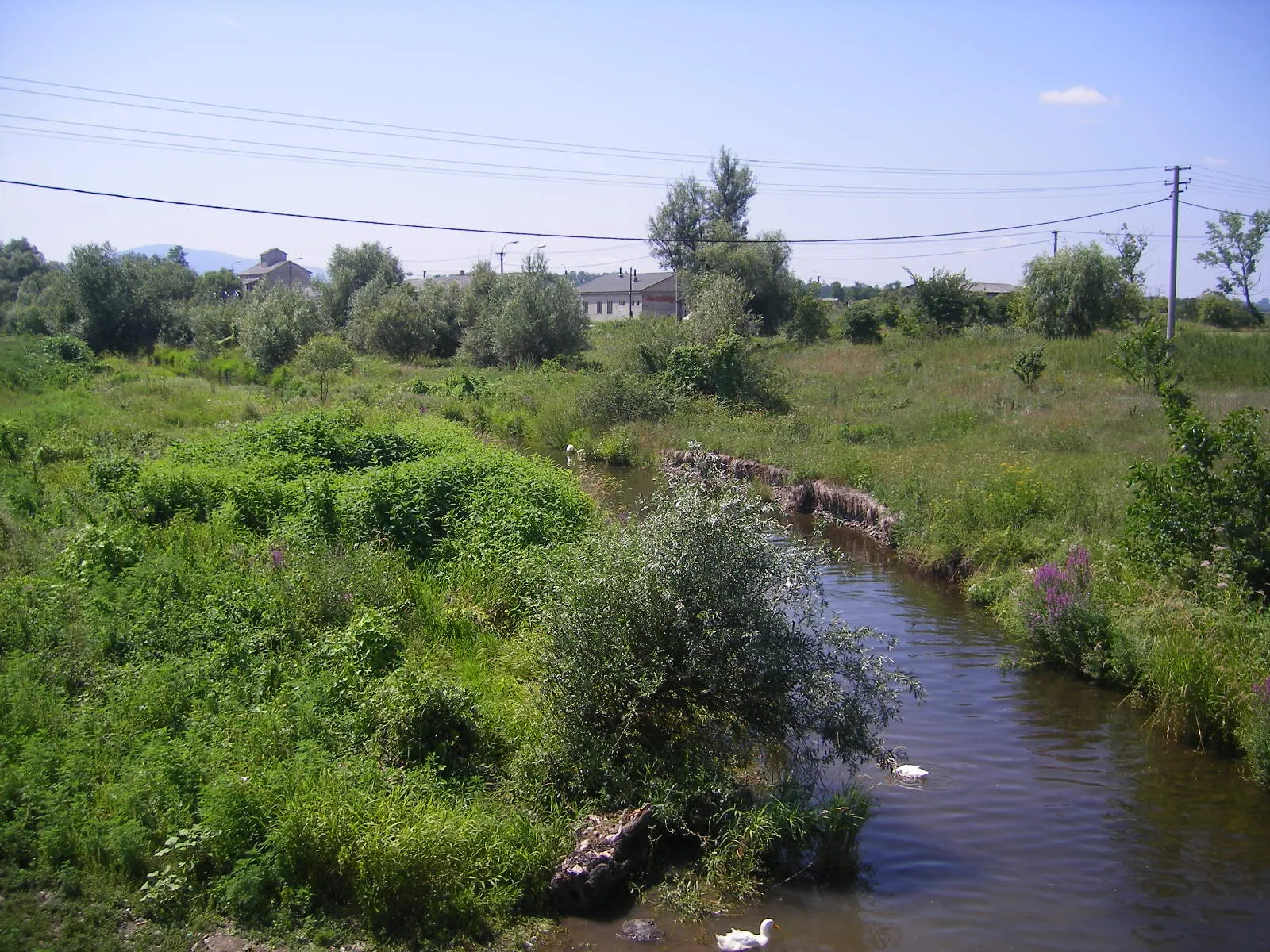 Photo showing: Ipolyság/Pereszlény - a Bernecei-patak