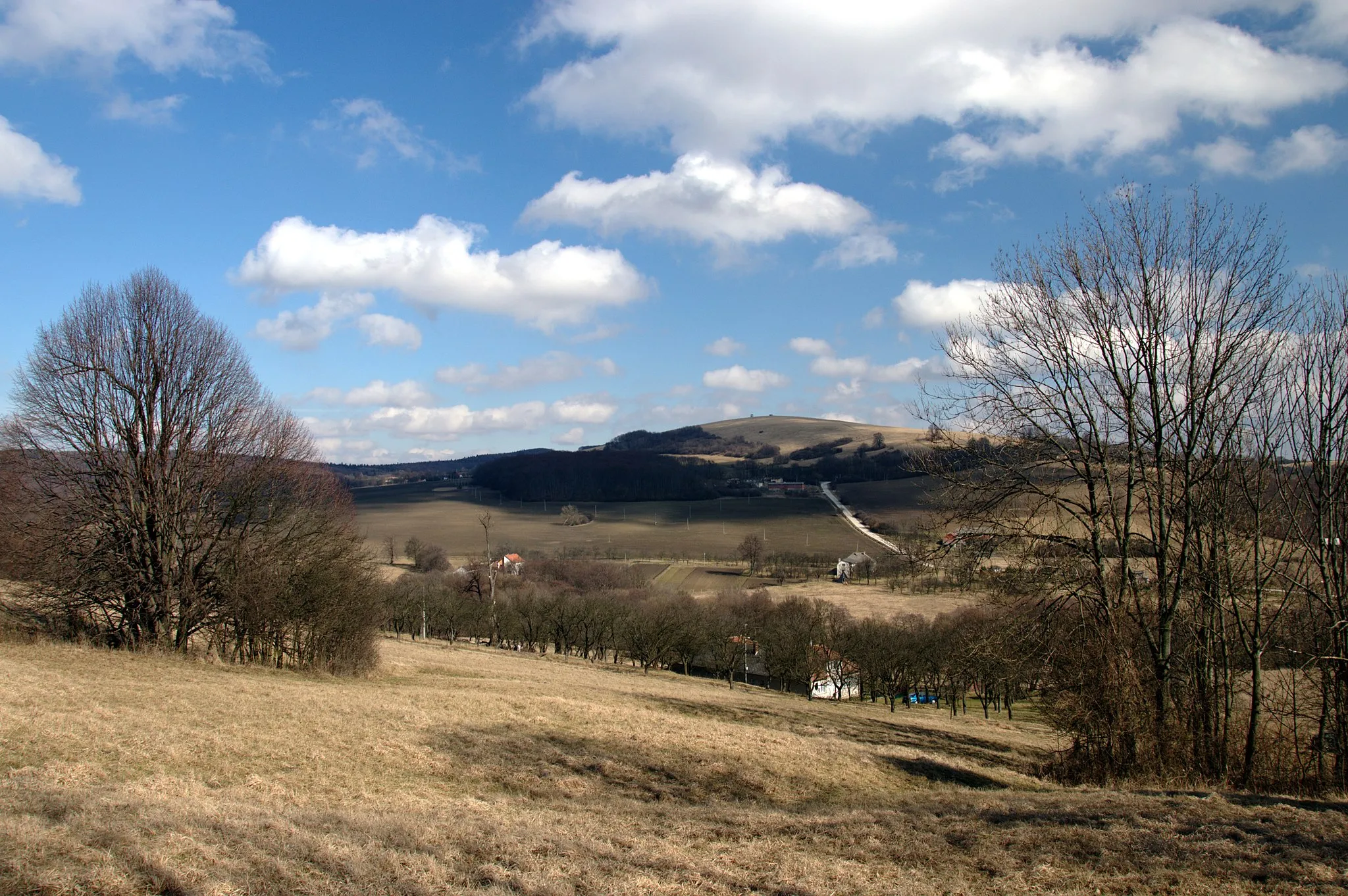 Photo showing: Village Chvojnica