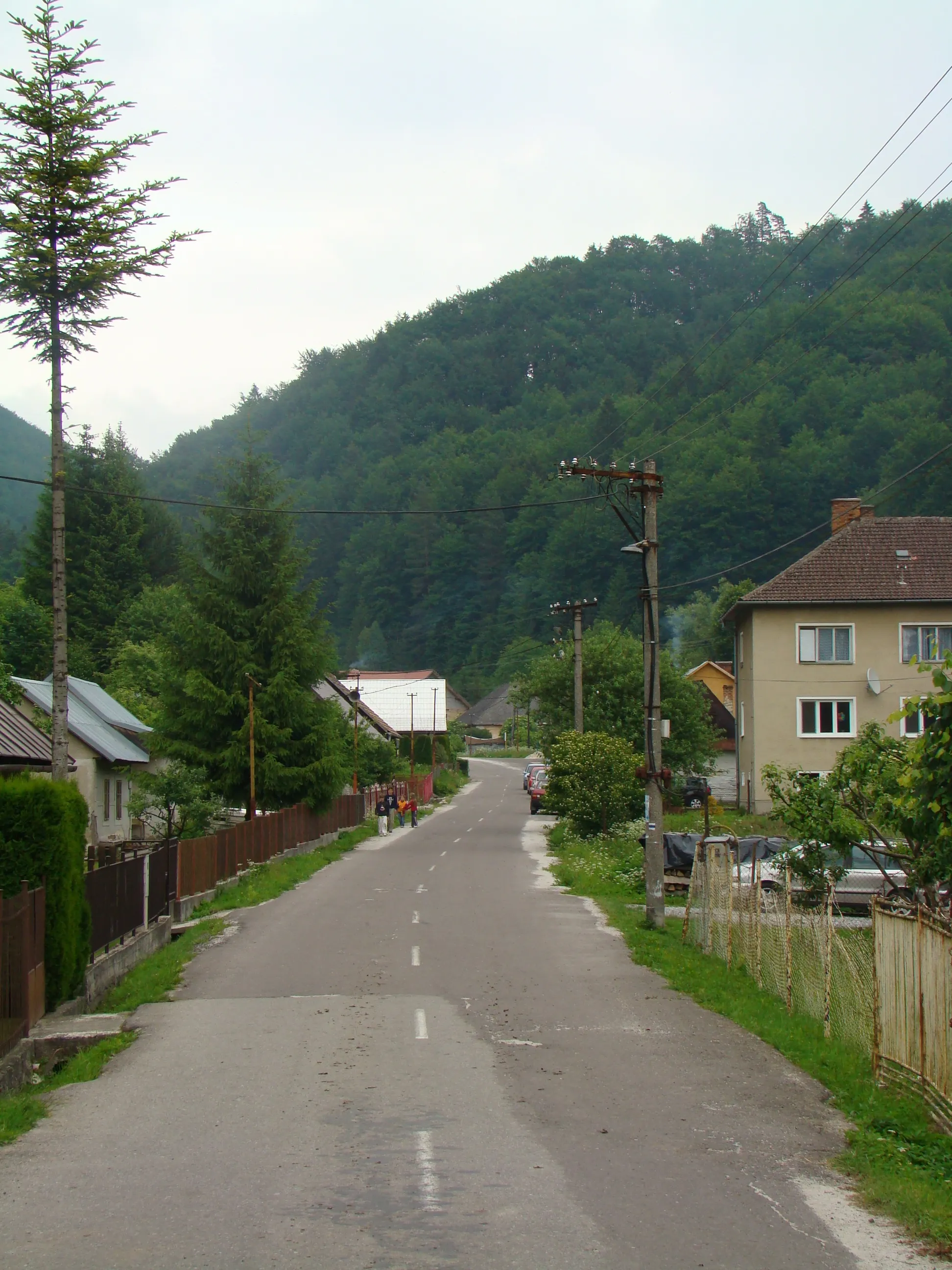 Photo showing: the main street in Gapel
