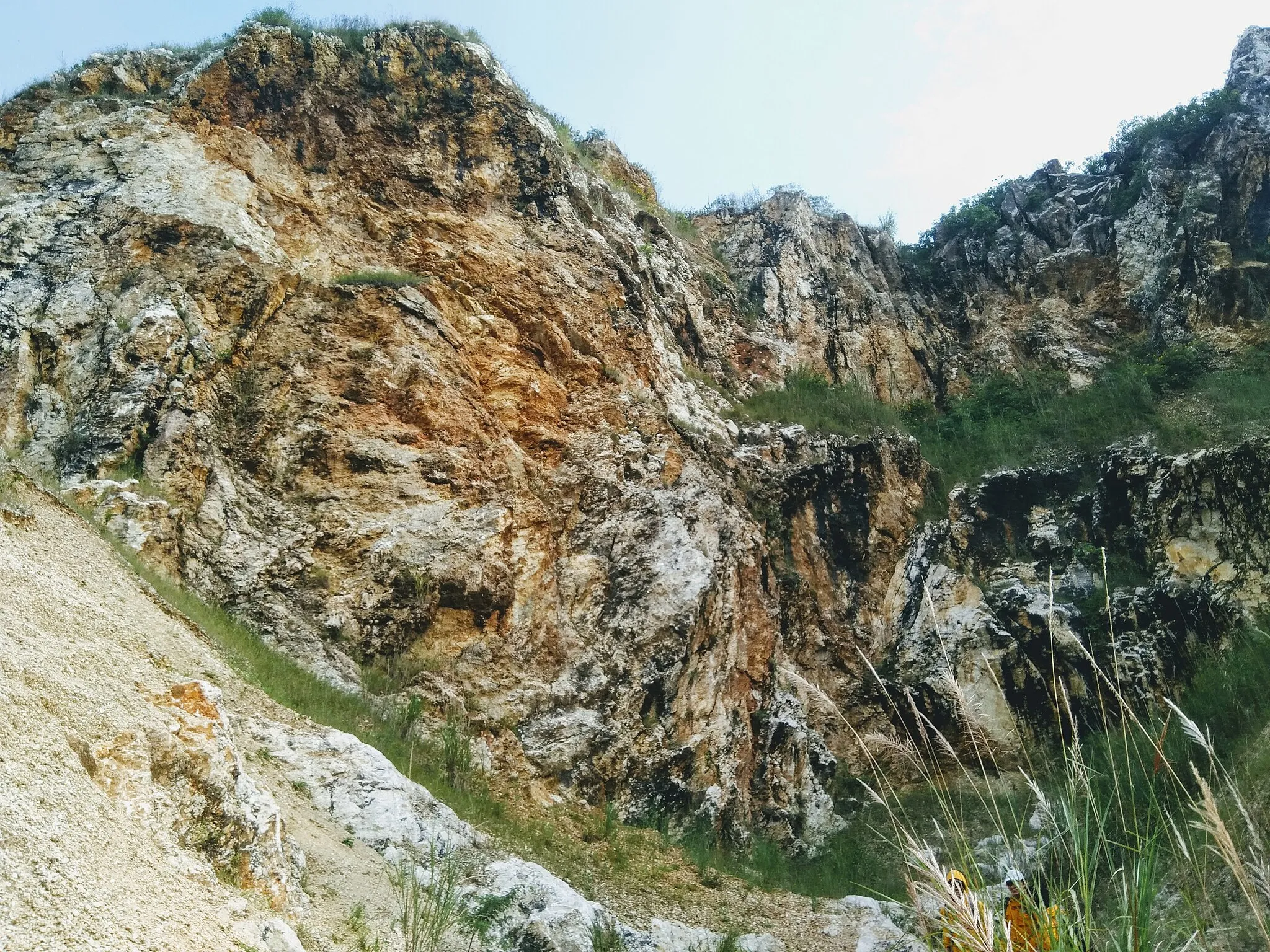 Photo showing: Large limestone outcrop from Rajamandala Formation in Citatah, Cipatat, West Bandung.