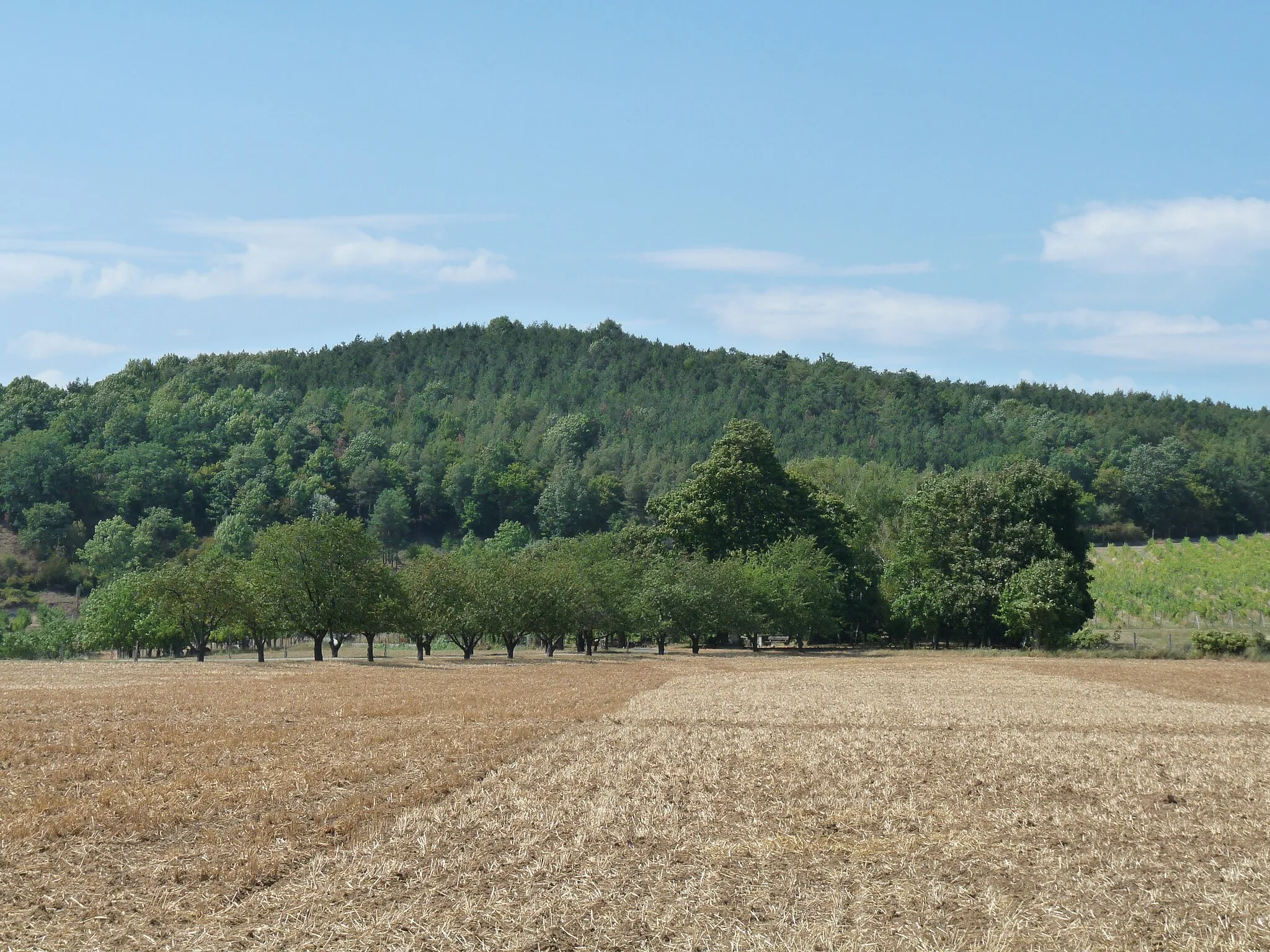 Photo showing: Chríb - vrch medzi Lančárom a Kočínom