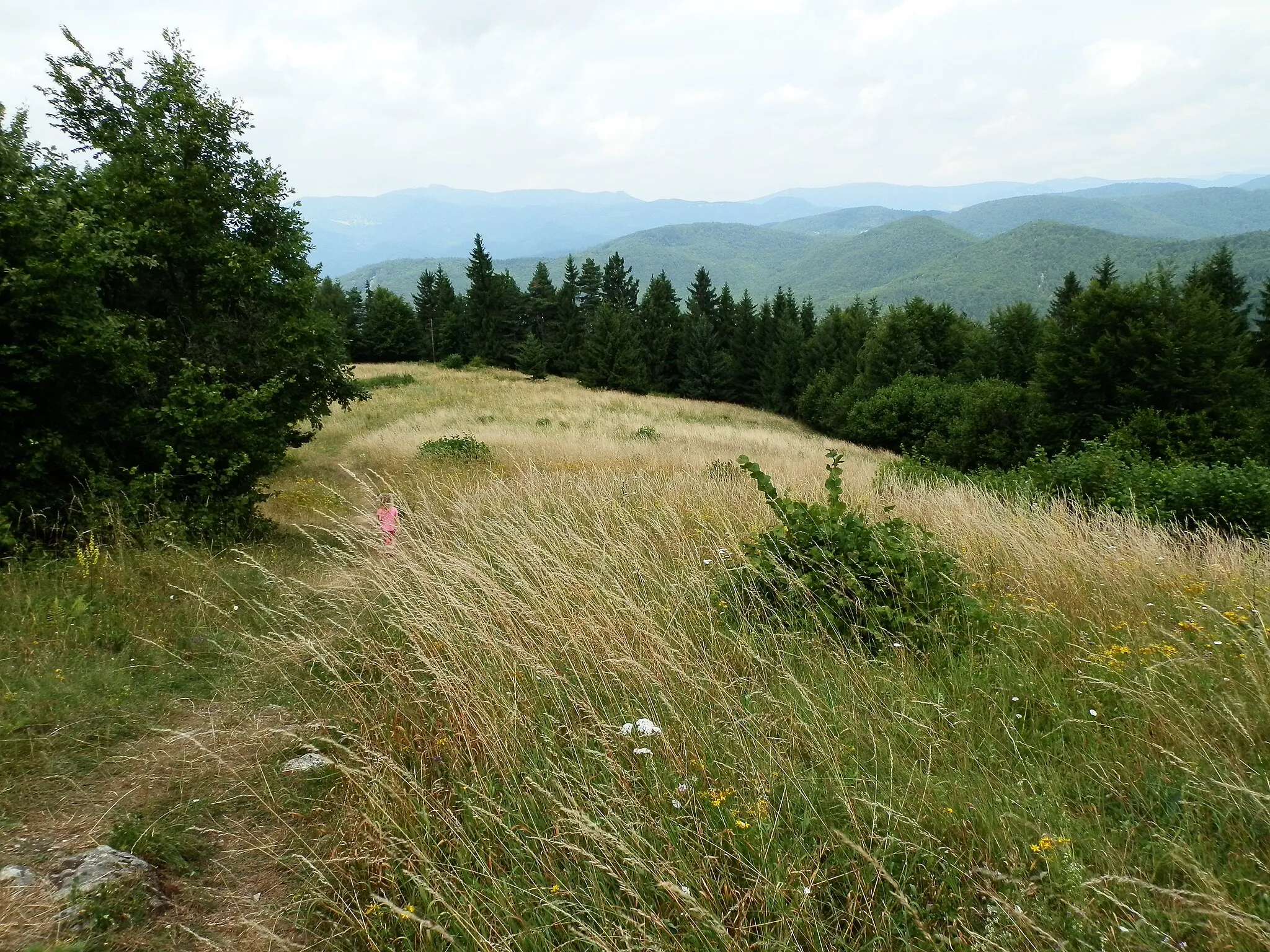 Photo showing: Cestou z Vyšehradu