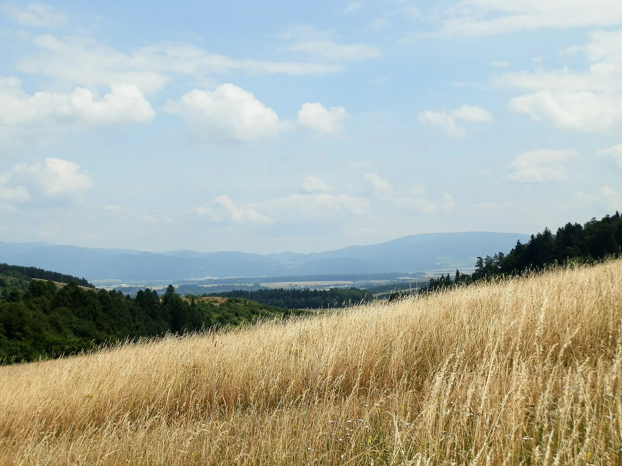 Photo showing: Vyšehradské sedlo