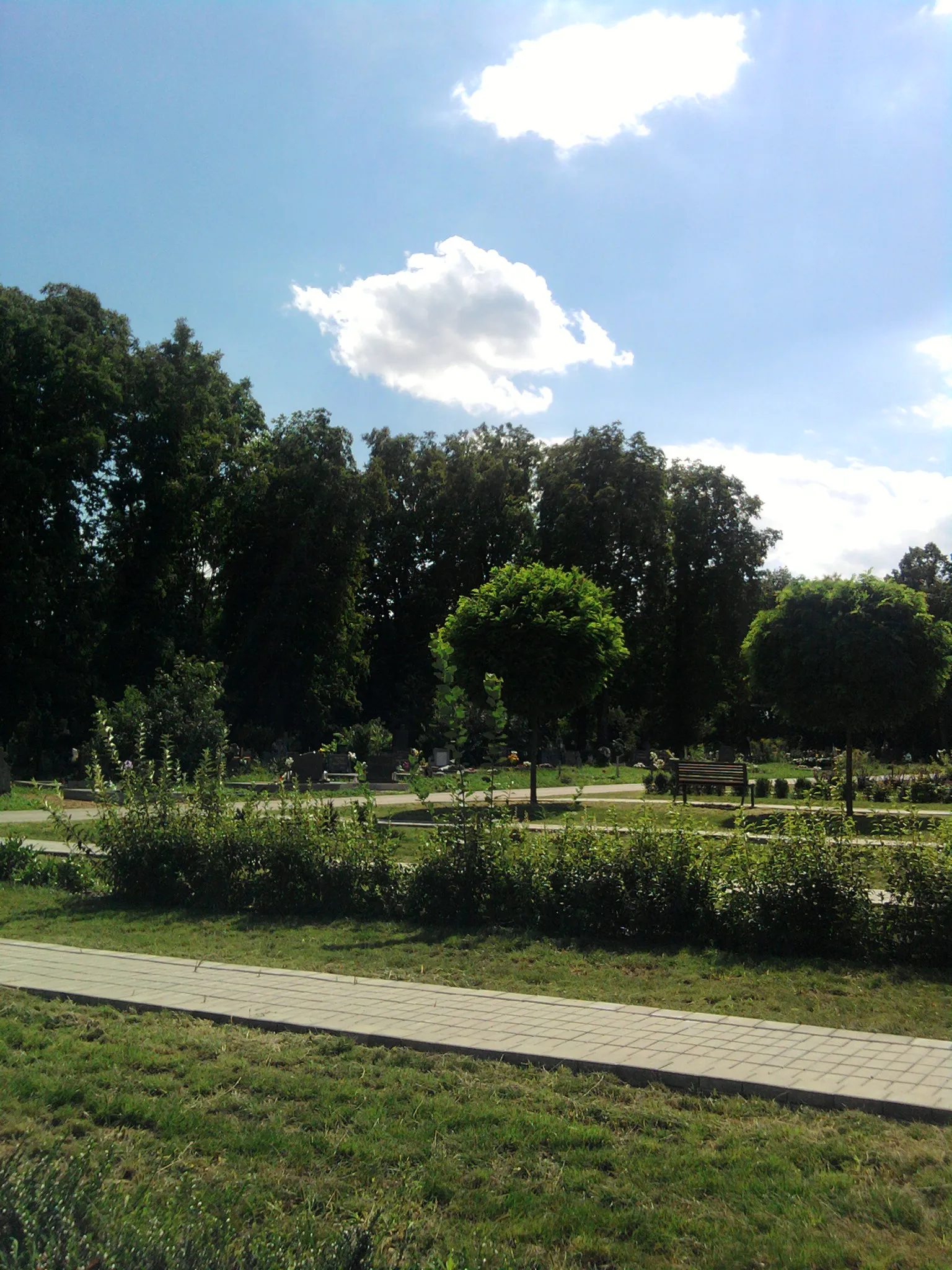 Photo showing: Cemetery  in Levice
