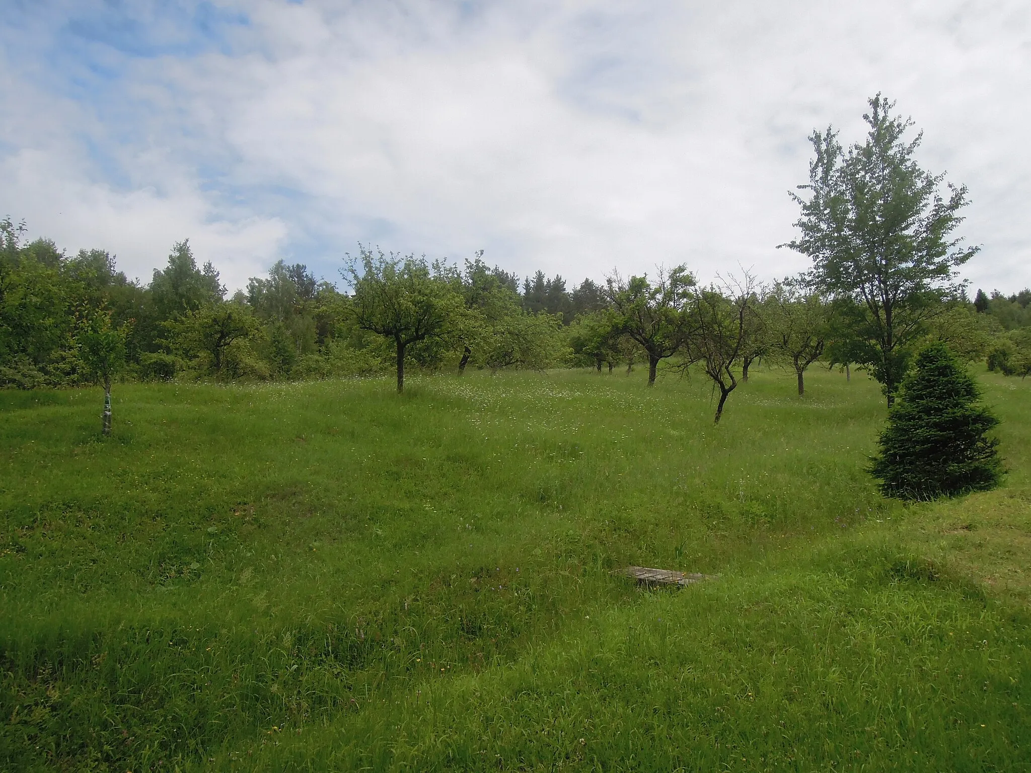 Photo showing: Hrádek natural monument in Študlov, Vsetín District, Zlín Region, Czech Republic