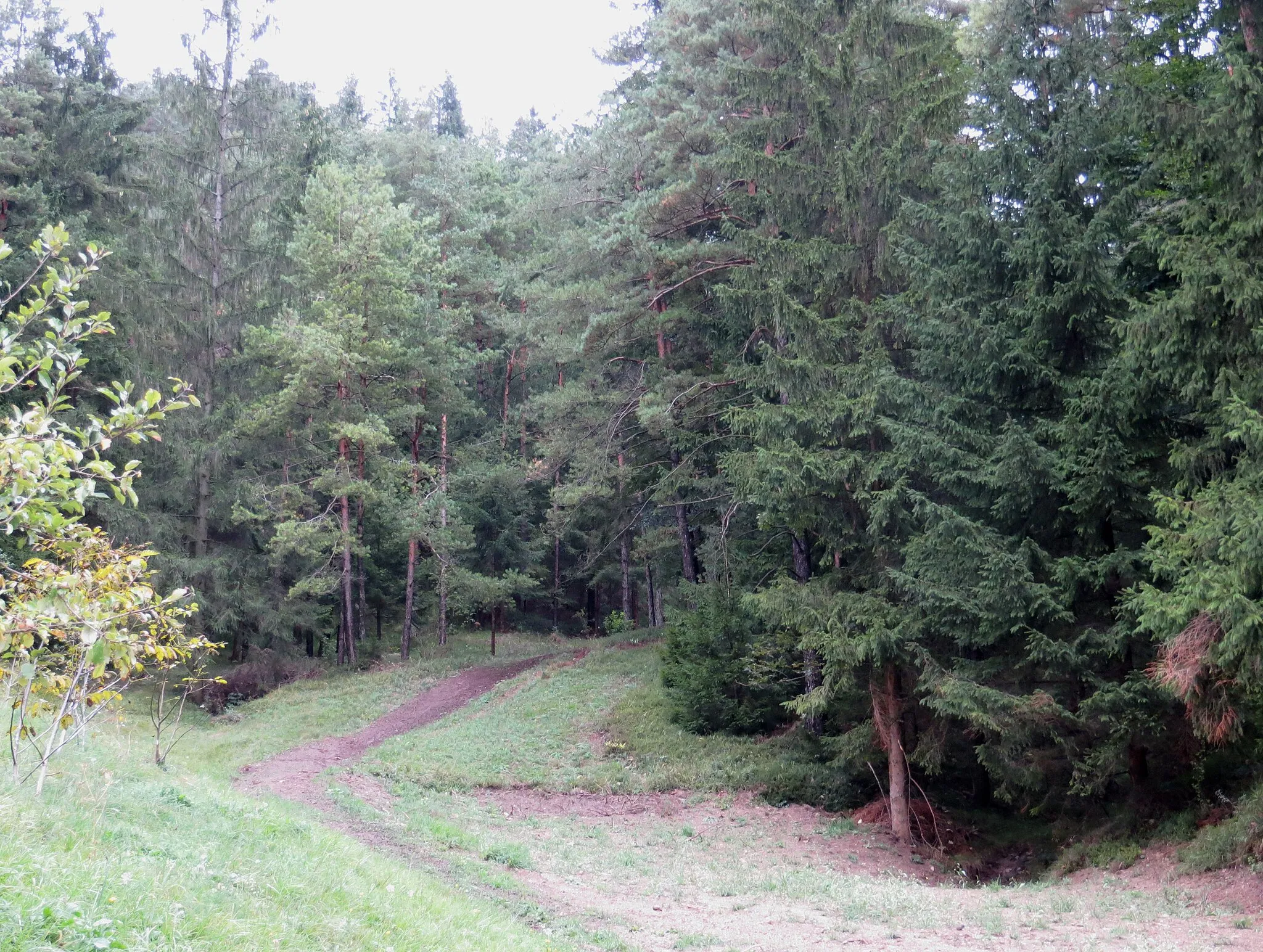 Photo showing: The Naveršnik Farm Mass Grave in Gornji Dolič, Municipality of Mislinja, Slovenia