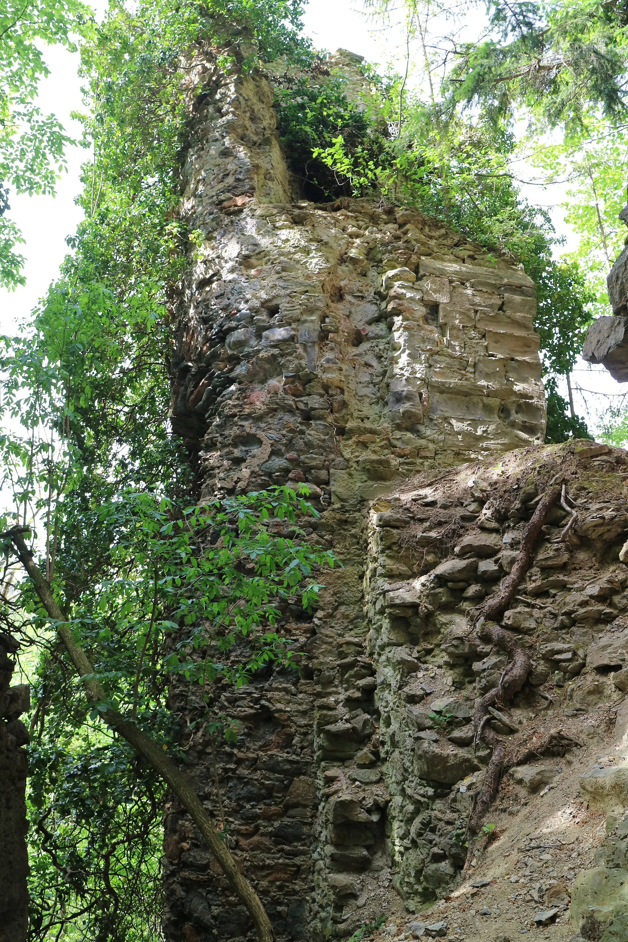 Photo showing: Burgruine Schmirnberg in der Gemeinde Leutschach an der Weinstraße