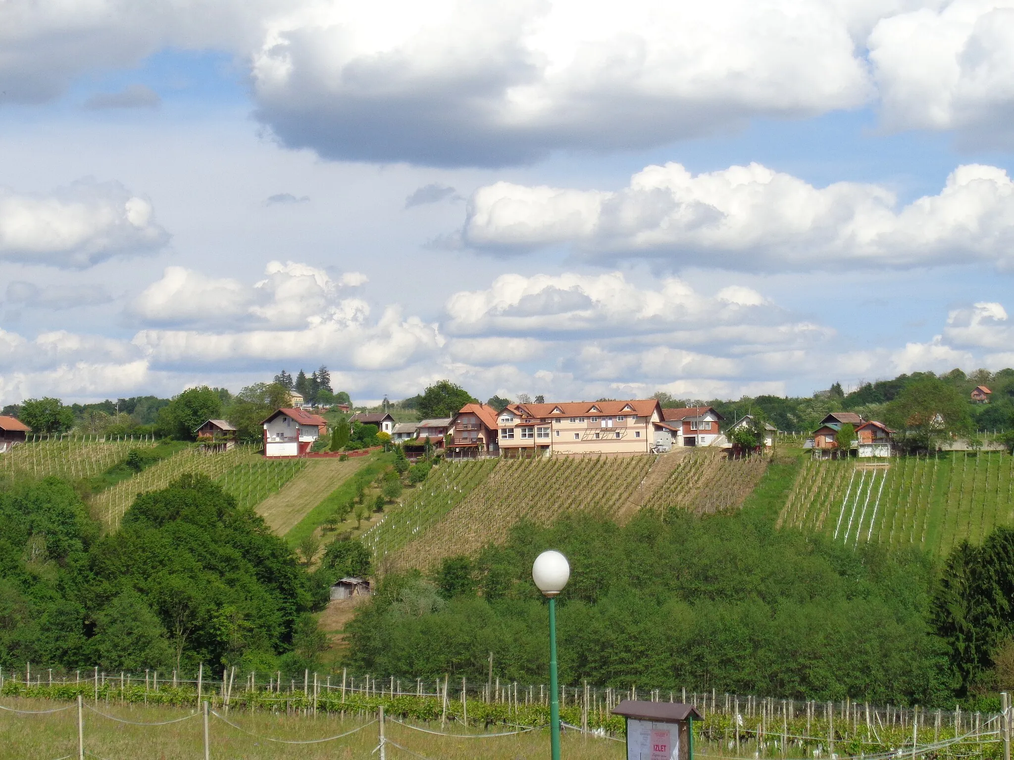 Photo showing: Vugrišinec (Međimurje County, northern Croatia) - vineyards