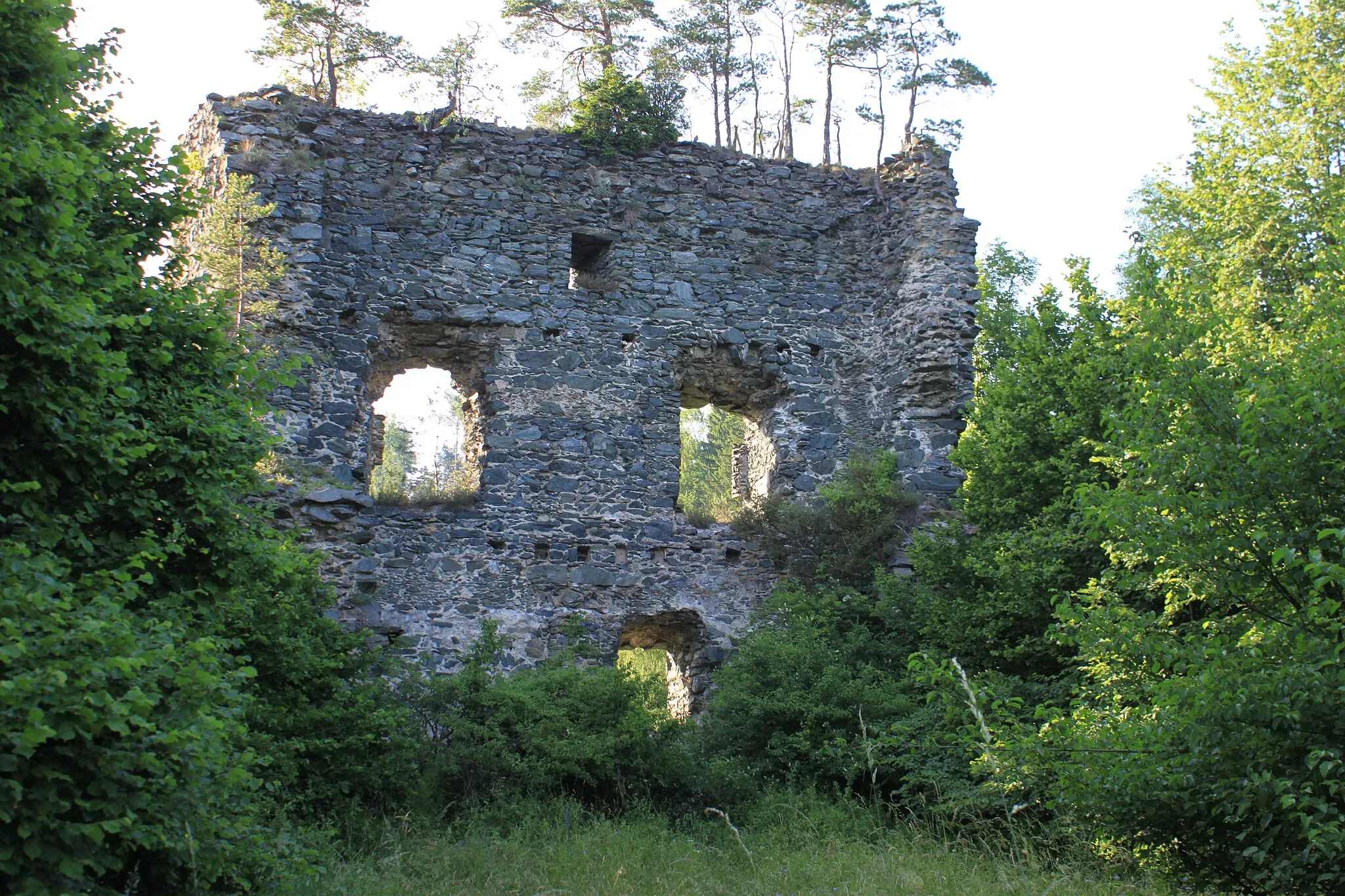 Photo showing: Castle ruined