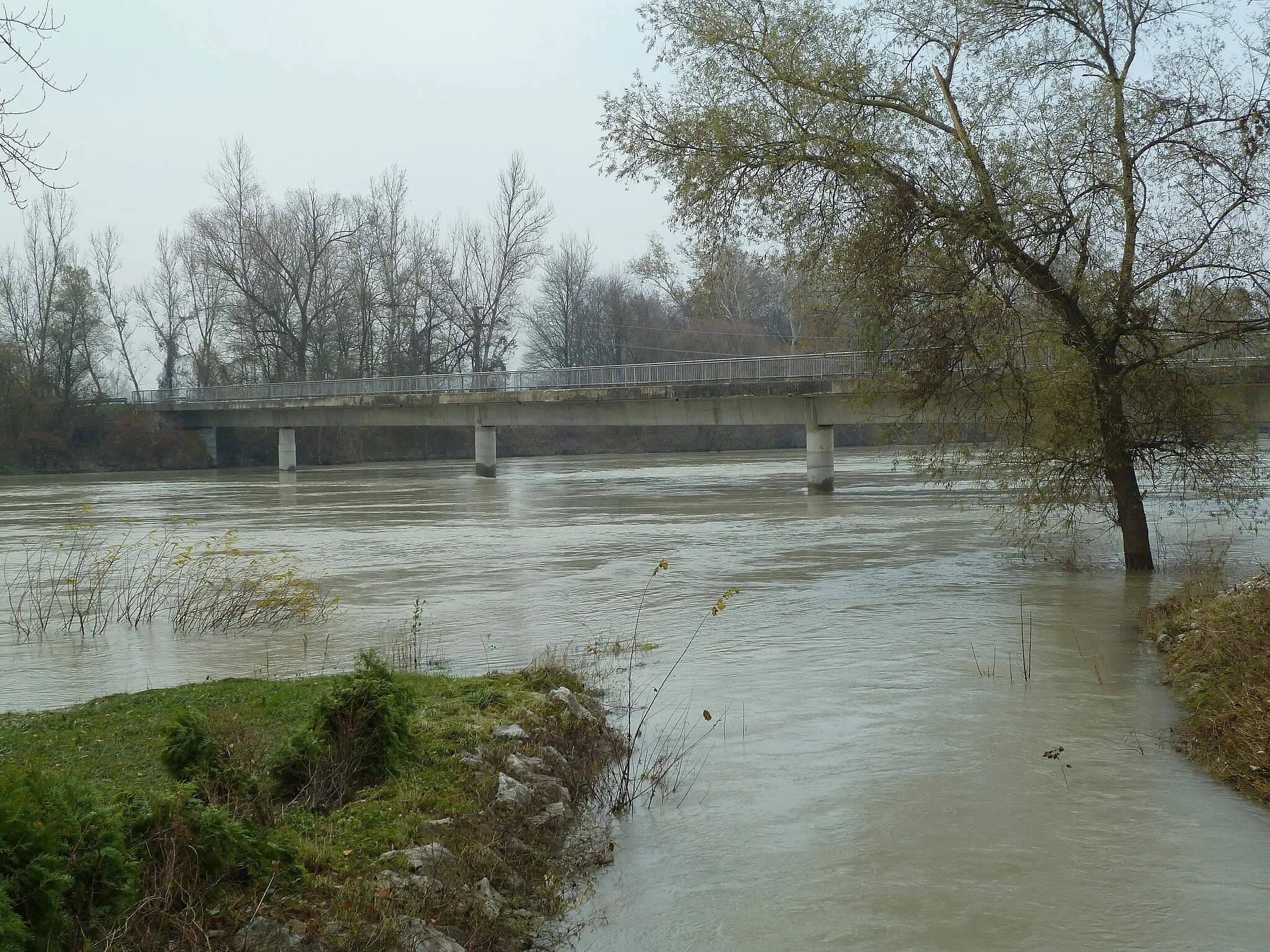 Photo showing: Drava River at the village of Veliki Lovrecan, Croatia
