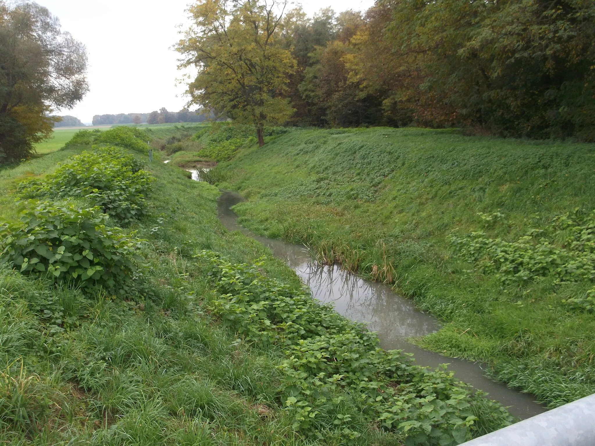 Photo showing: Creek Puconci (Slov. Puconski potok, Prekm. Püconski potok) between Markišavci and Polana