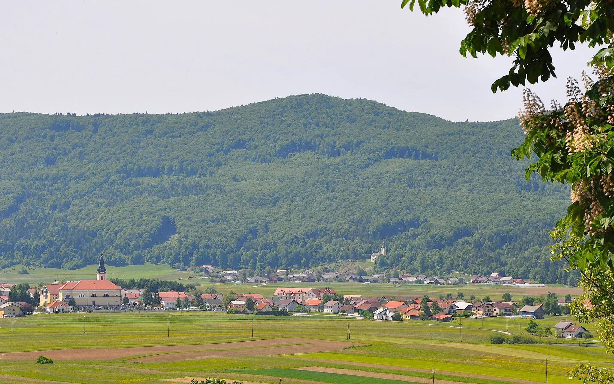 Photo showing: Videm, at the back, Podpeč; villages in Slovenia