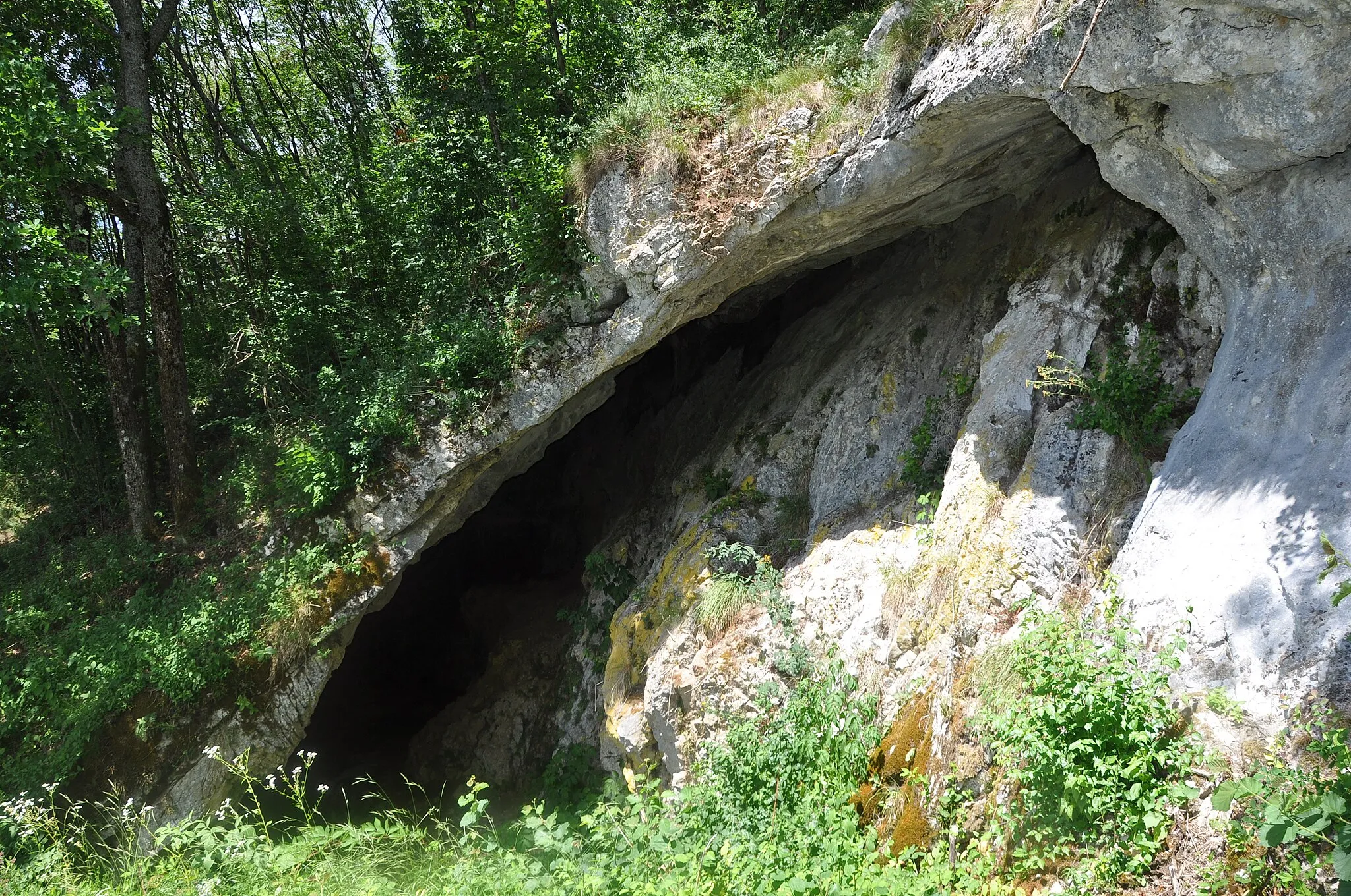 Photo showing: Betalov spodmol, cave in Slovenia