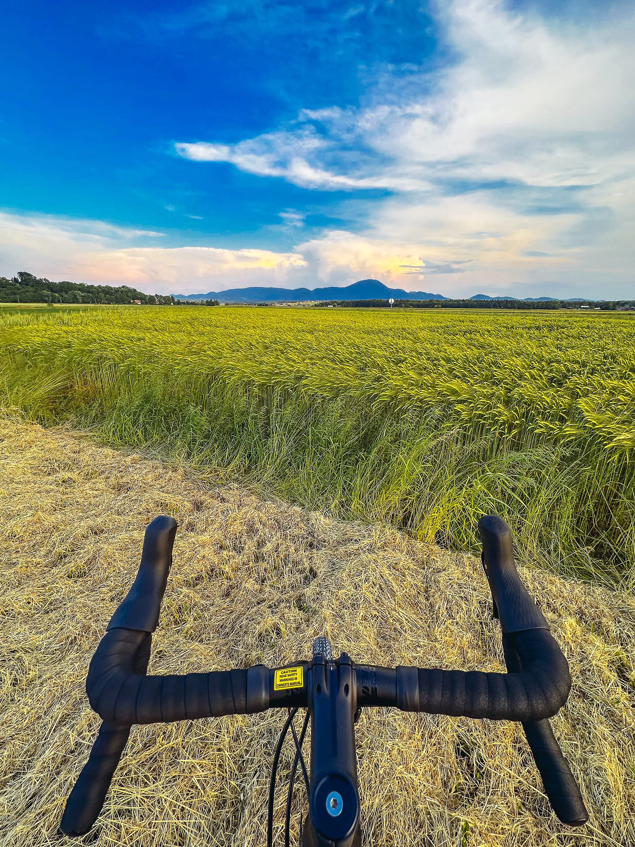 Photo showing: Riding bike in wheat field