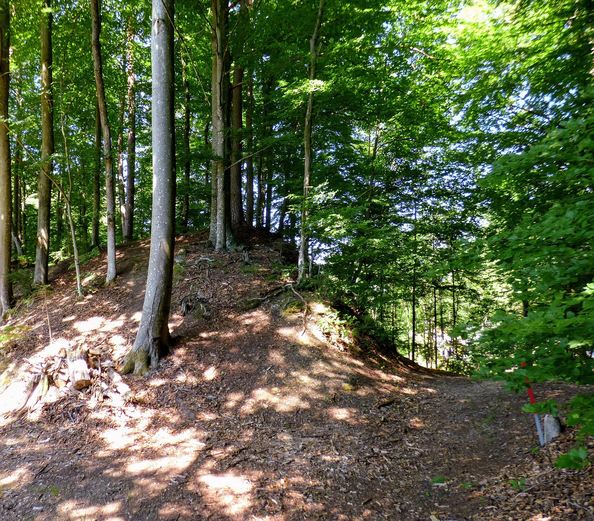 Photo showing: Schloss Bleiburg, Kärnten:
Befestigungsreste östlich des Schlosses