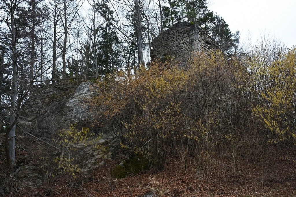 Photo showing: Forhtenek was built end of 13th century and abandoned after it was destroyed in peasant riots in 1635.