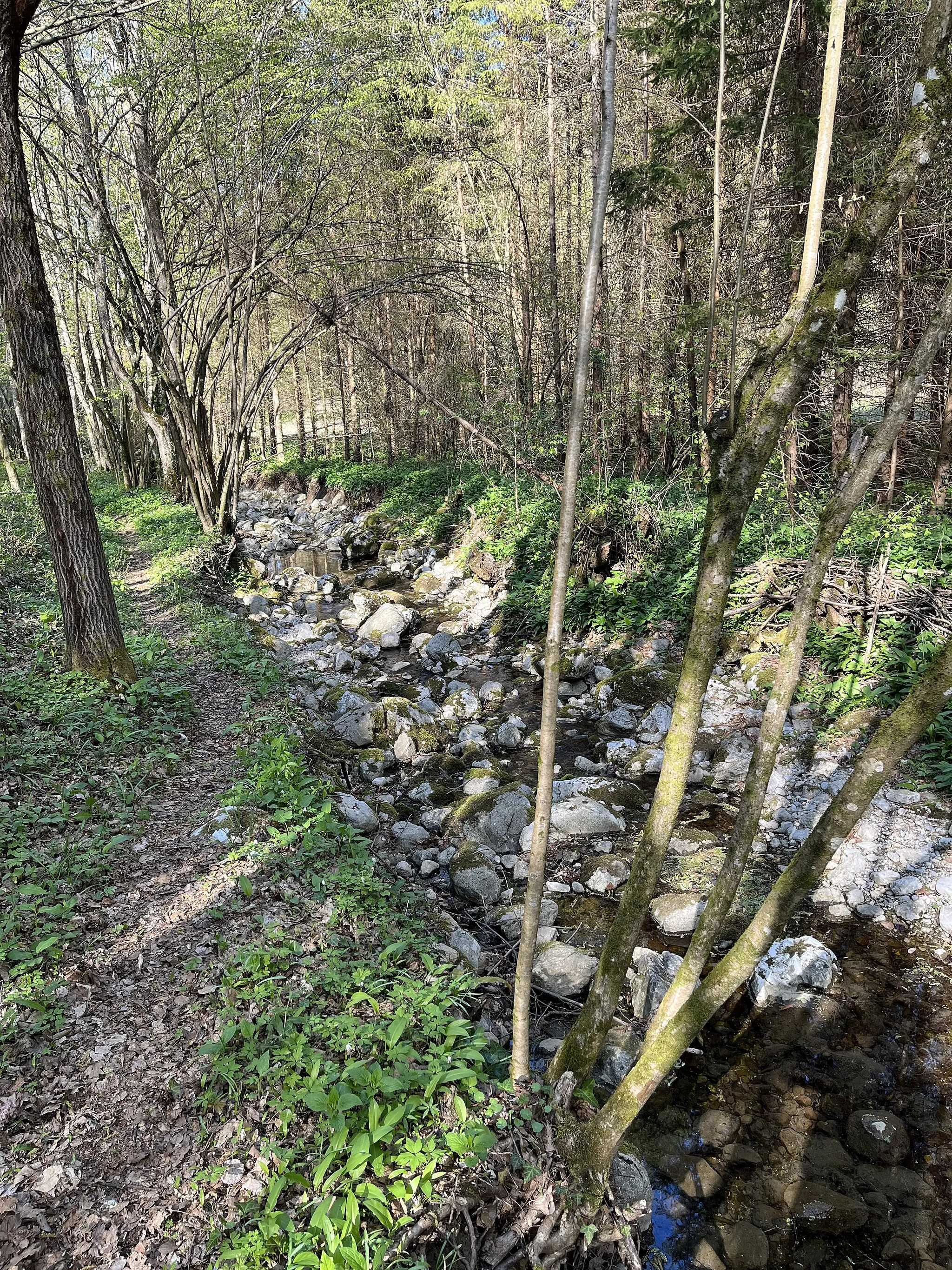 Photo showing: Klamfer streambed