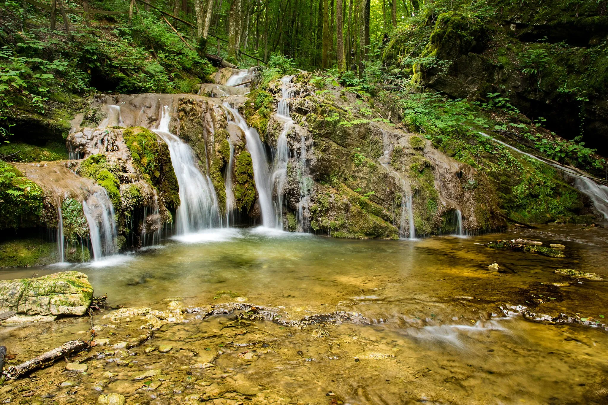 Photo showing: Wild Creek (Slo: Divji potok) which has water flows above Srednje vas near Črmošnjice, has created a very diverse and picturesque stream, full of waterfalls, pools and rapids on the dominant dolomite stone base. The stream flows most of its flow through the forest. After about 3.5 km of flow with torrential character it joins Črmošnjičica.