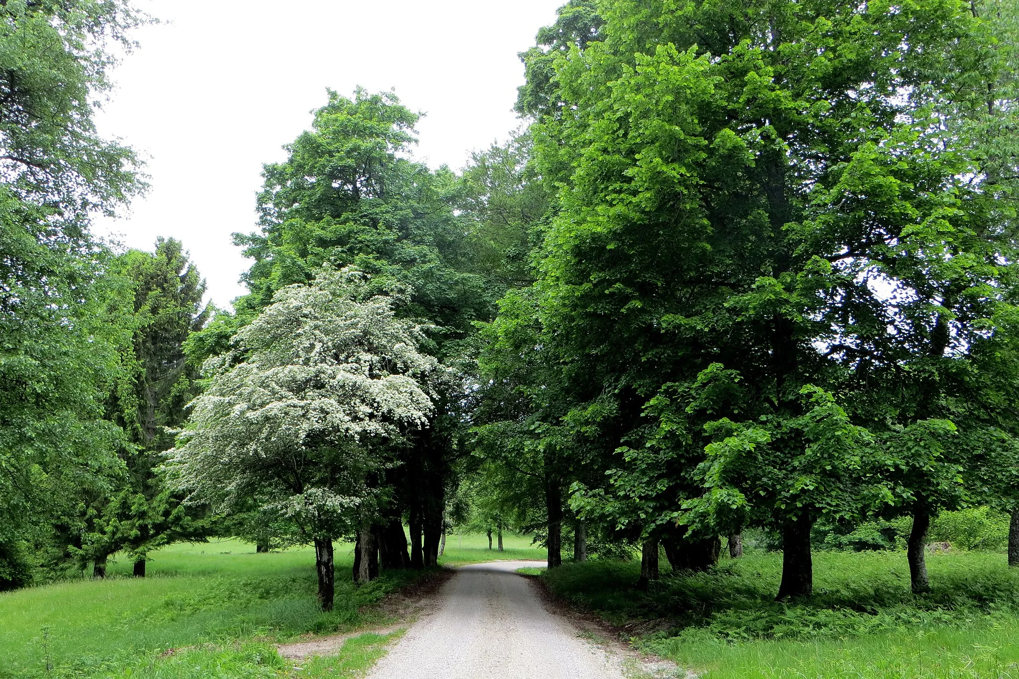 Photo showing: Hunter's Peak (Lovski vrh) in Mačkovec, Municipality of Kočevje, Slovenia