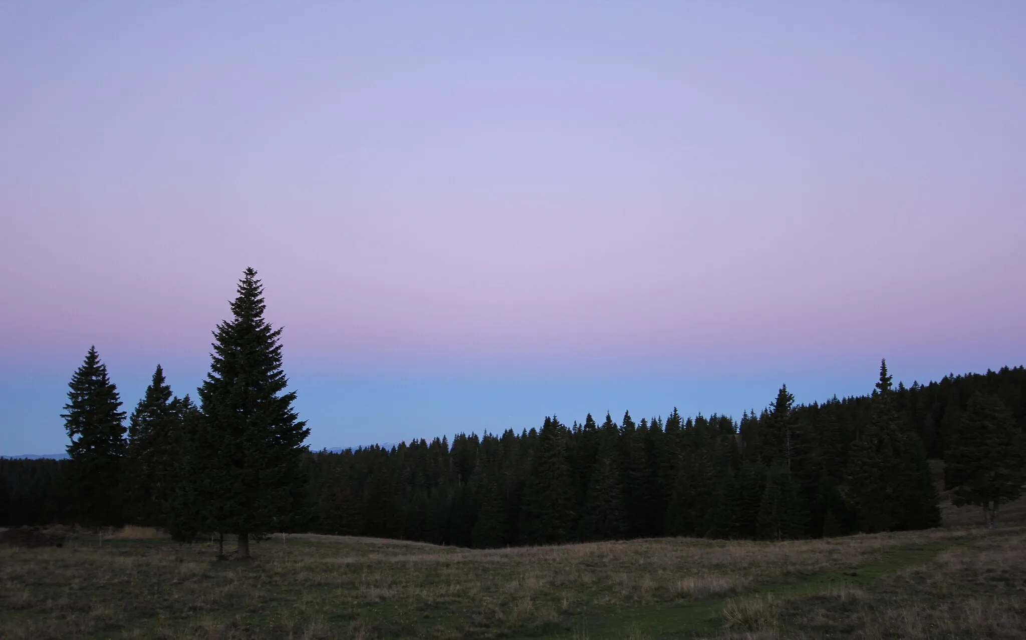 Photo showing: na pot na Lovrenška