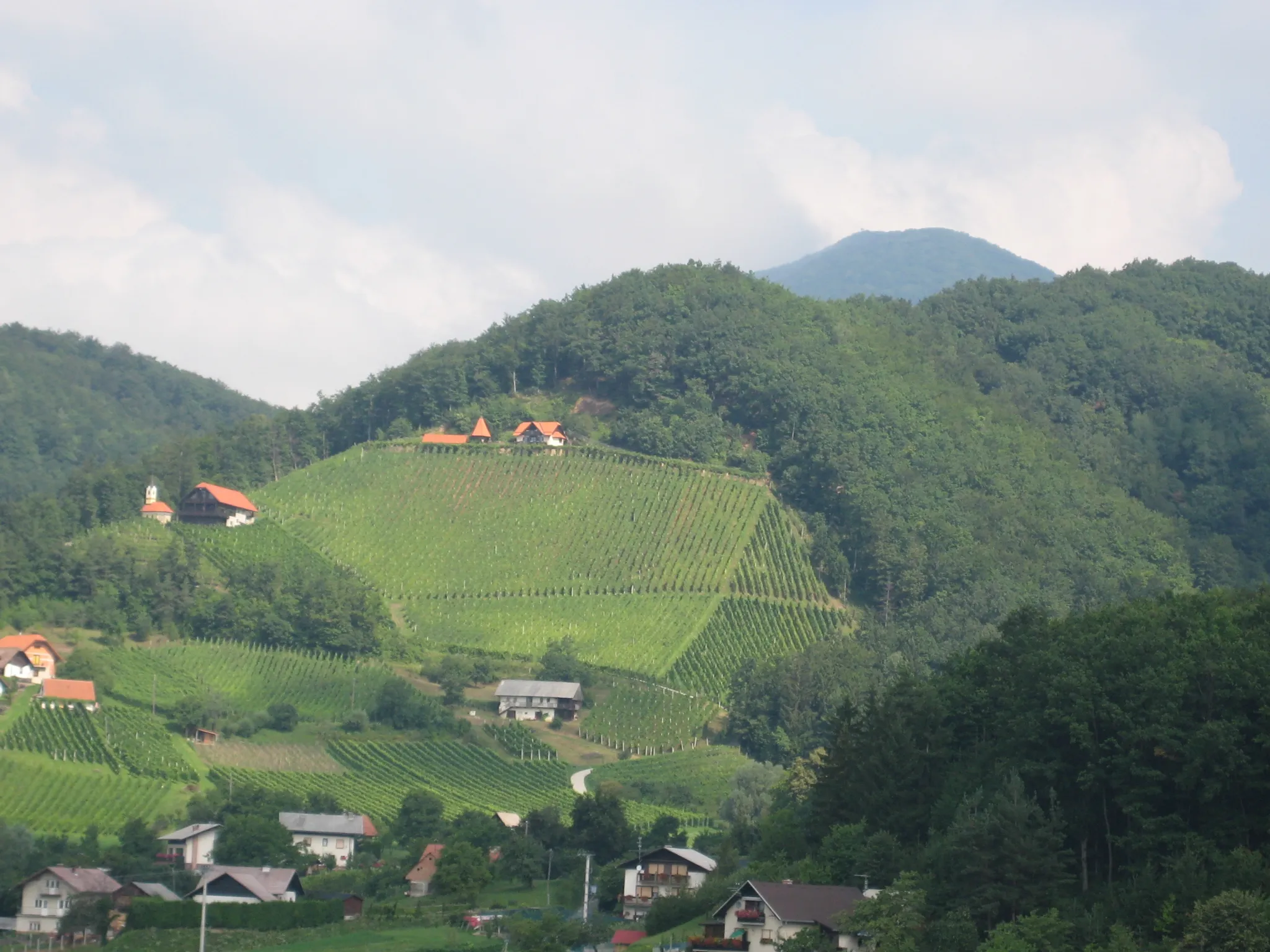 Photo showing: Boč mountain, Slovenia