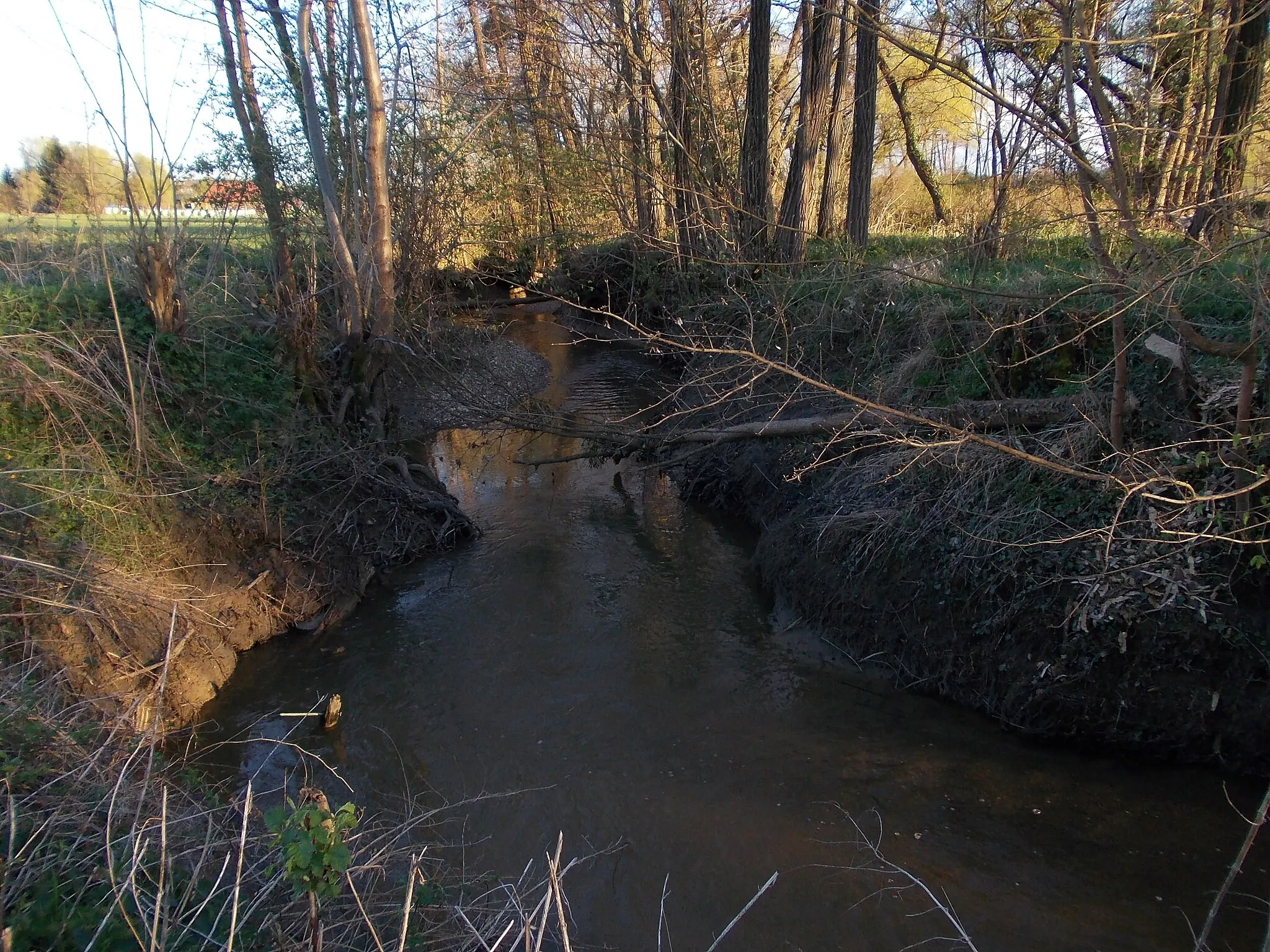 Photo showing: Gabernica