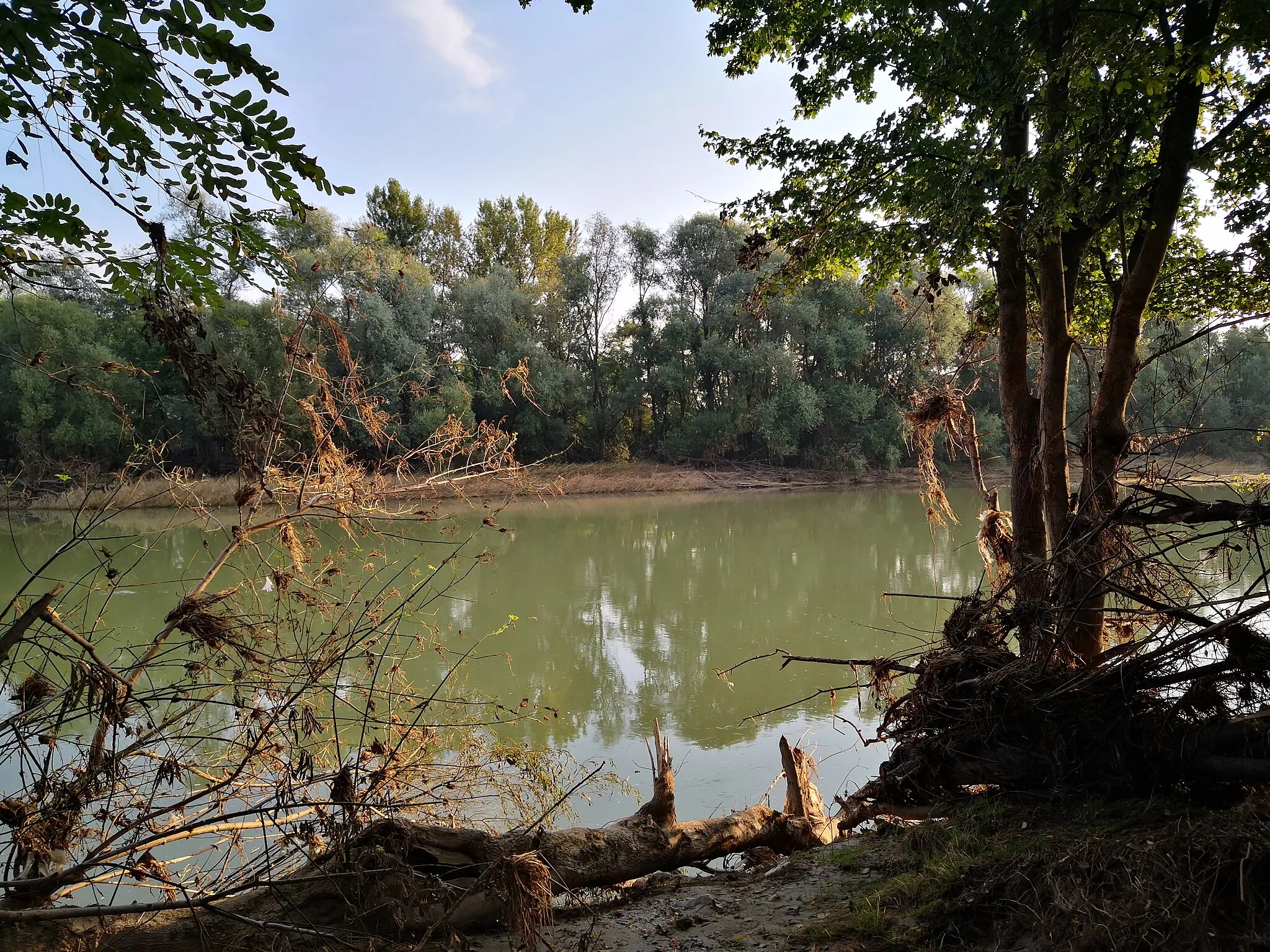 Photo showing: jpg Rošnja barvna reka Drava