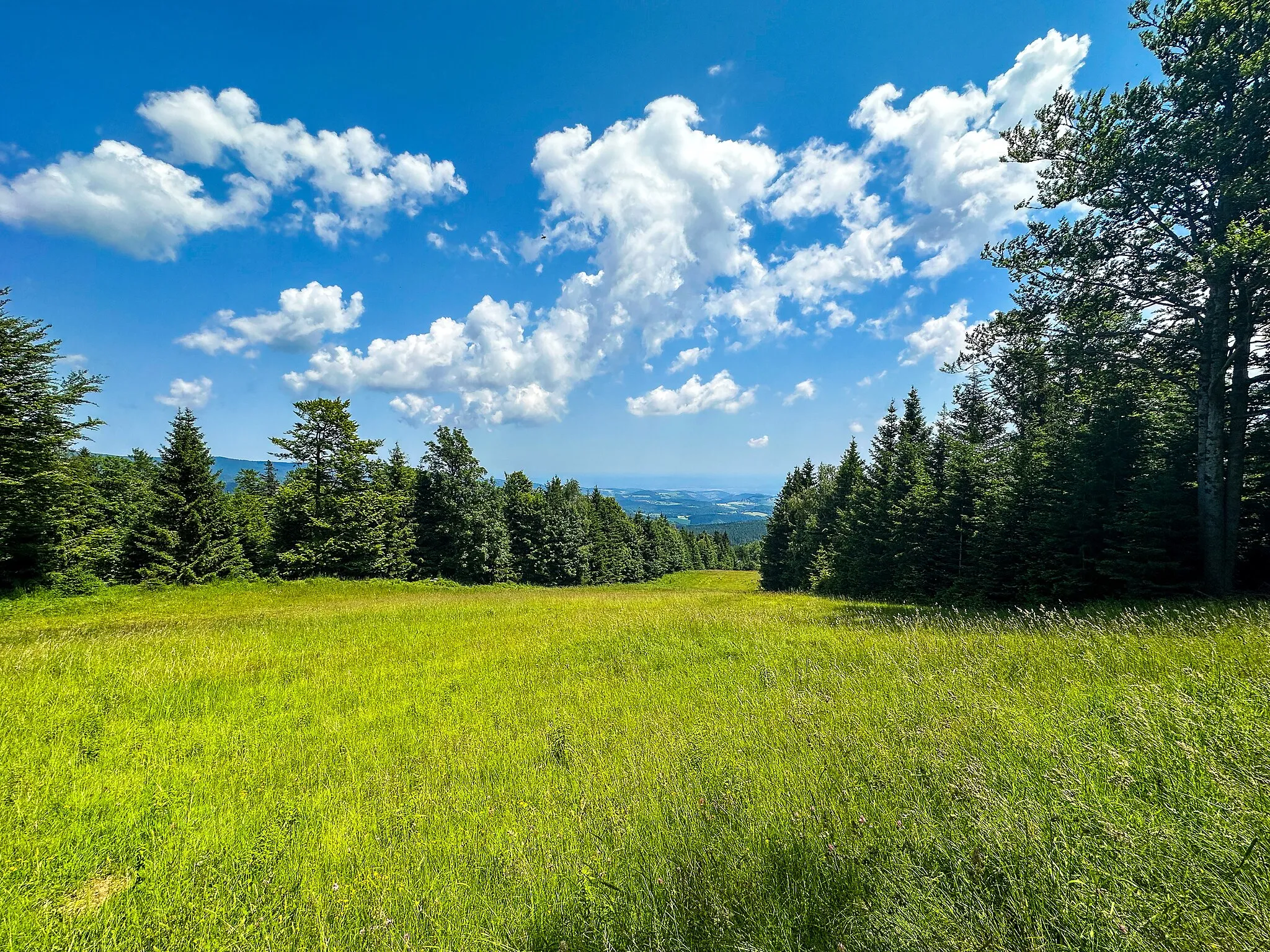 Photo showing: Sveti Trije Kralji ski resort in summer