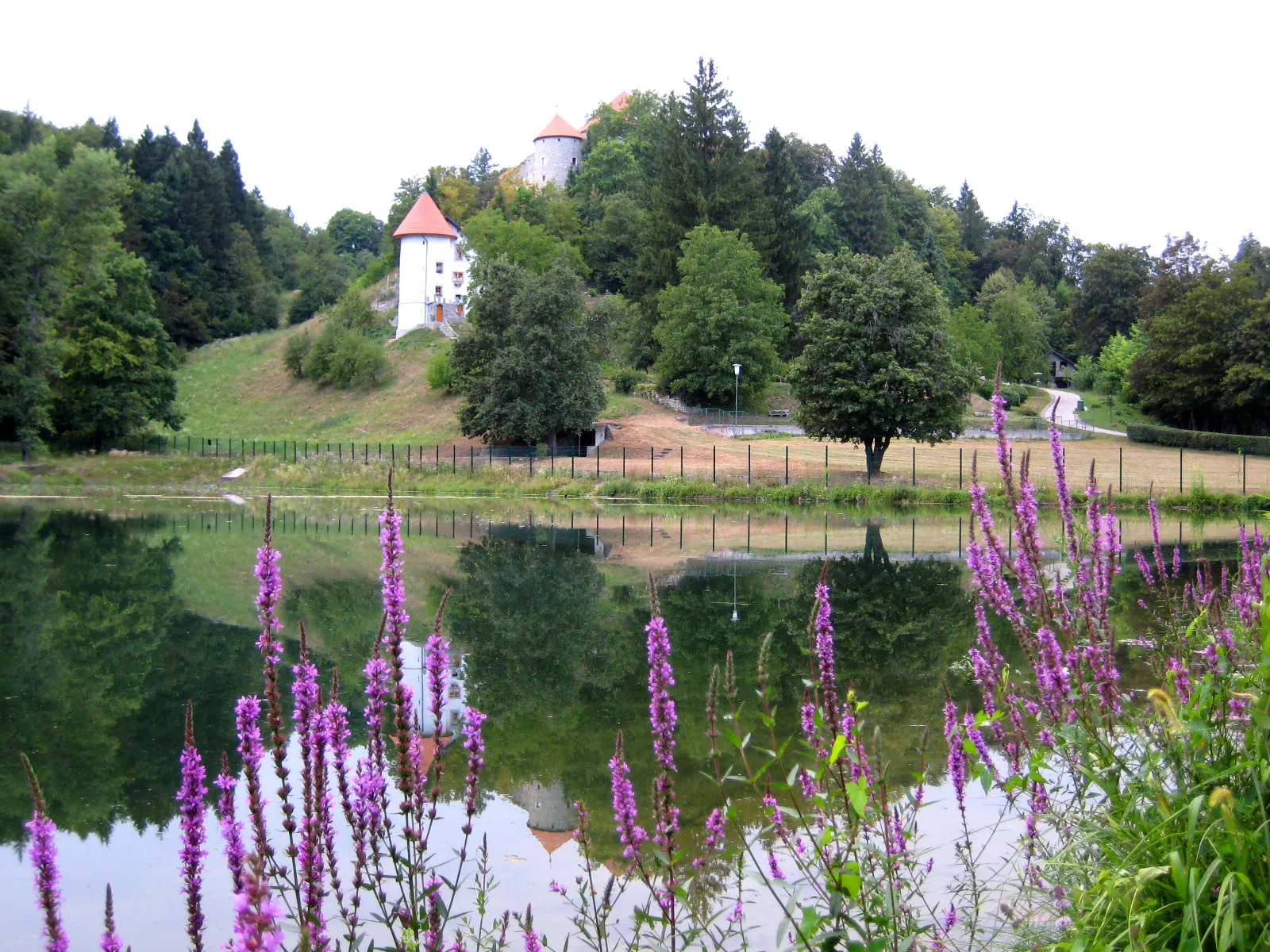Photo showing: Mirna castle and pond, Slovenia