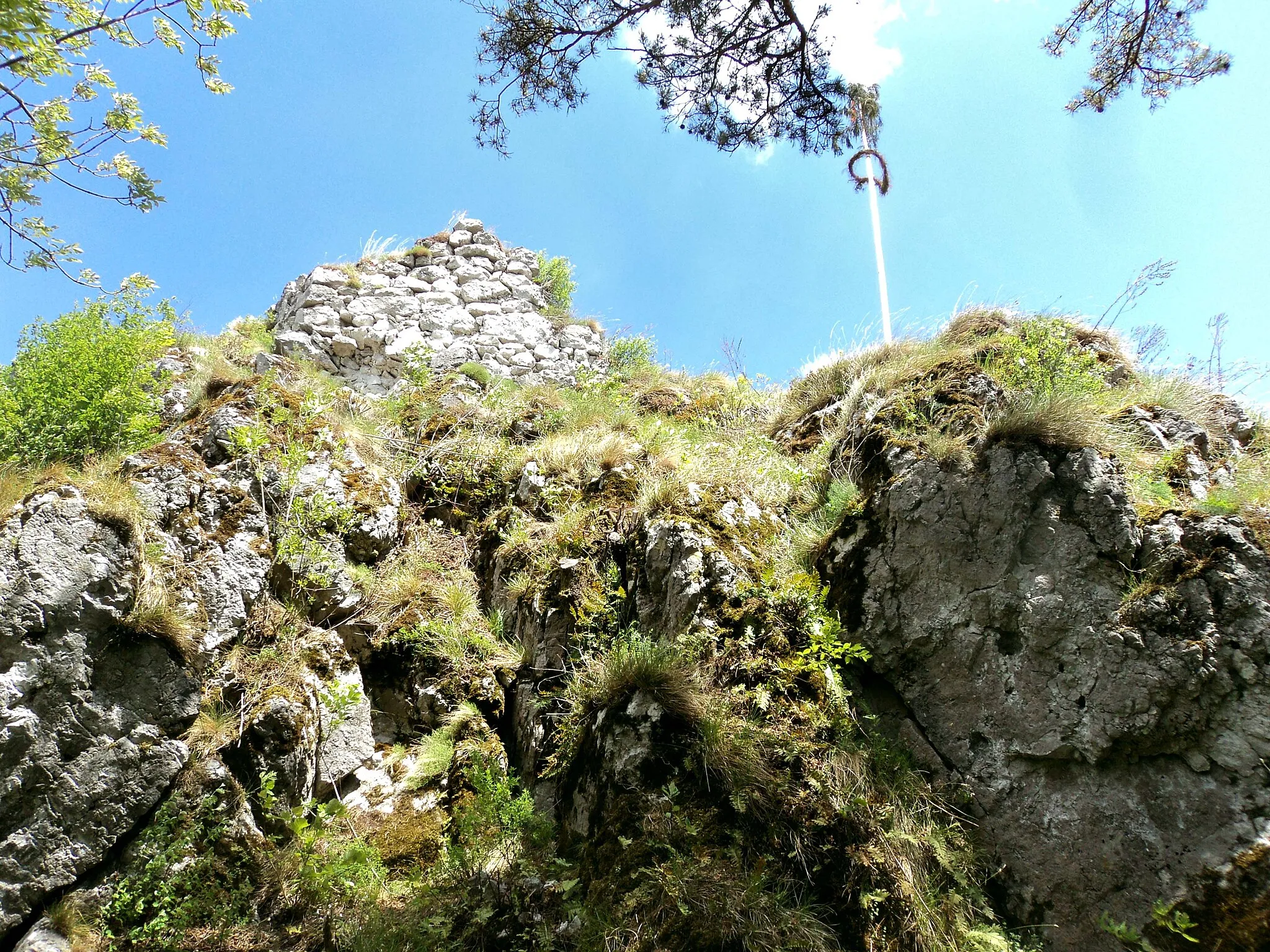 Photo showing: Ruševine gradu Svibno 2011