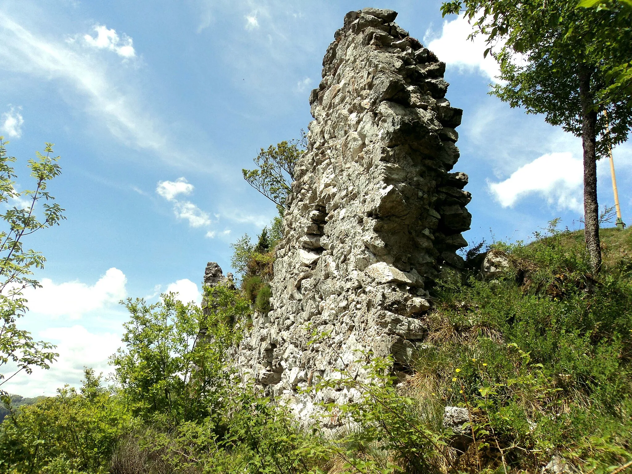 Photo showing: Ruševina gradu Svibno 2011