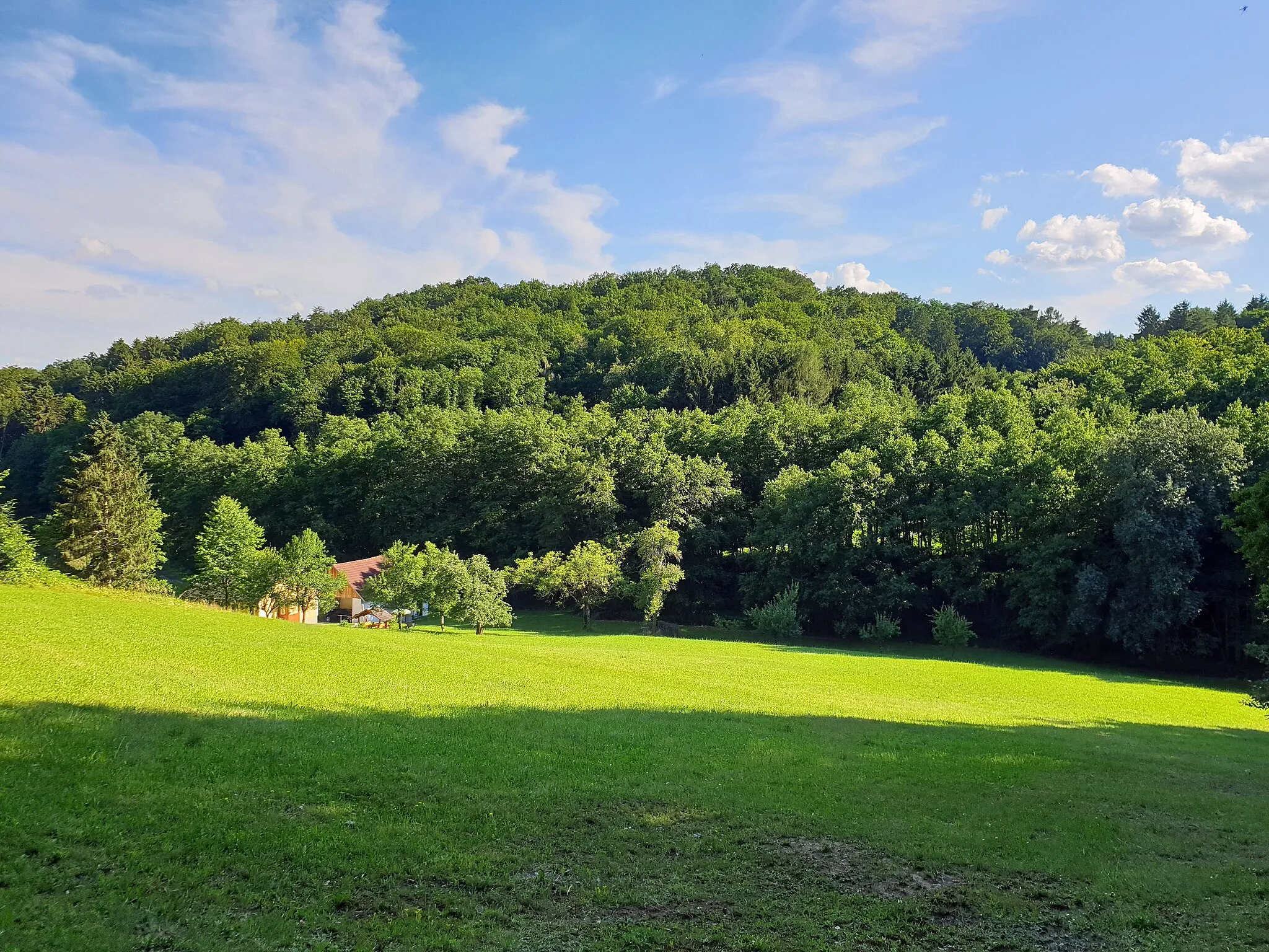 Photo showing: Hügel Wolfsriegel (381 m) in Neuhaus am Klausenbach, Ansicht von Nordosten.
