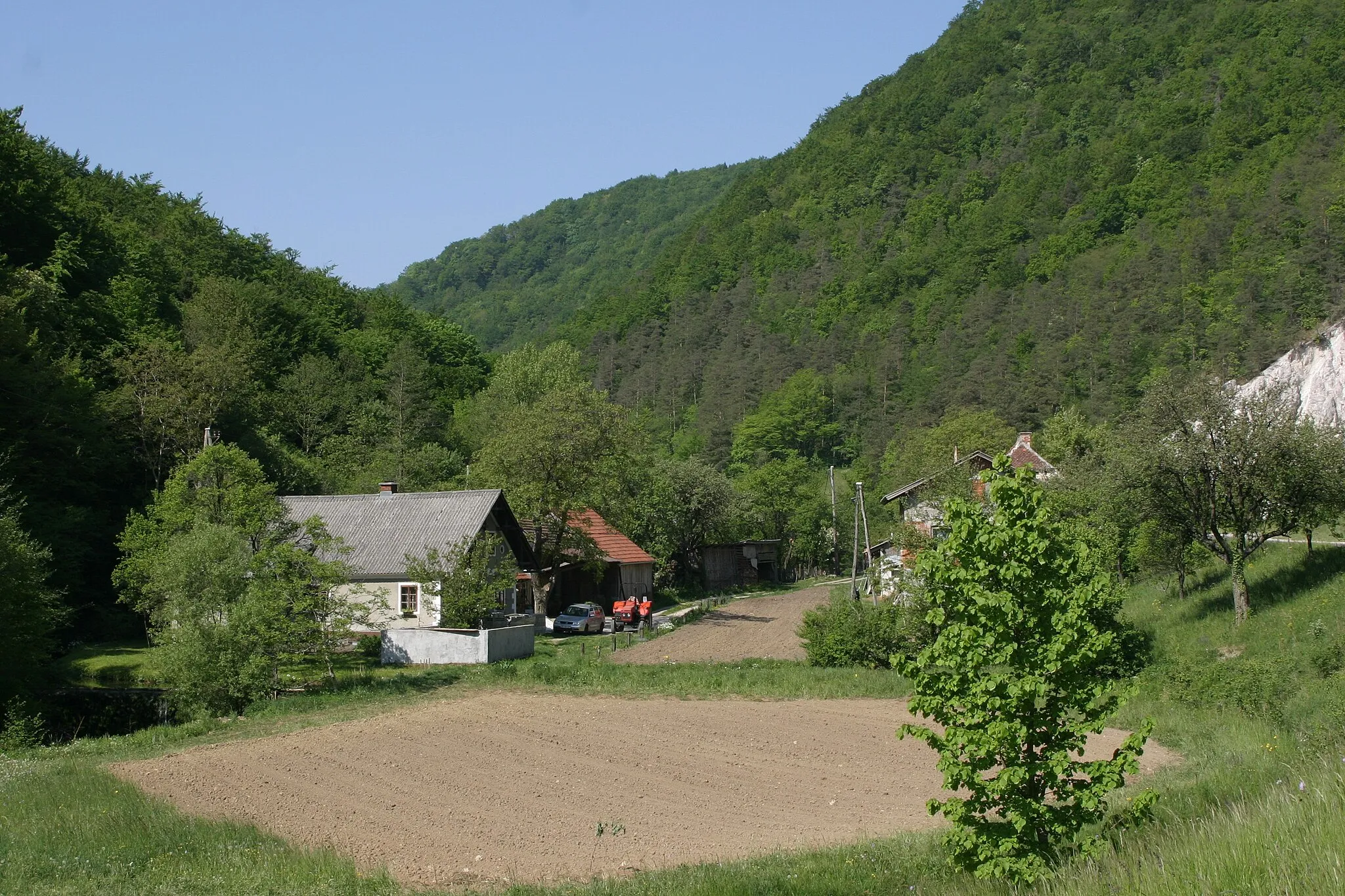 Photo showing: Sotensko Gorge along the lower reach of Žičnica brook