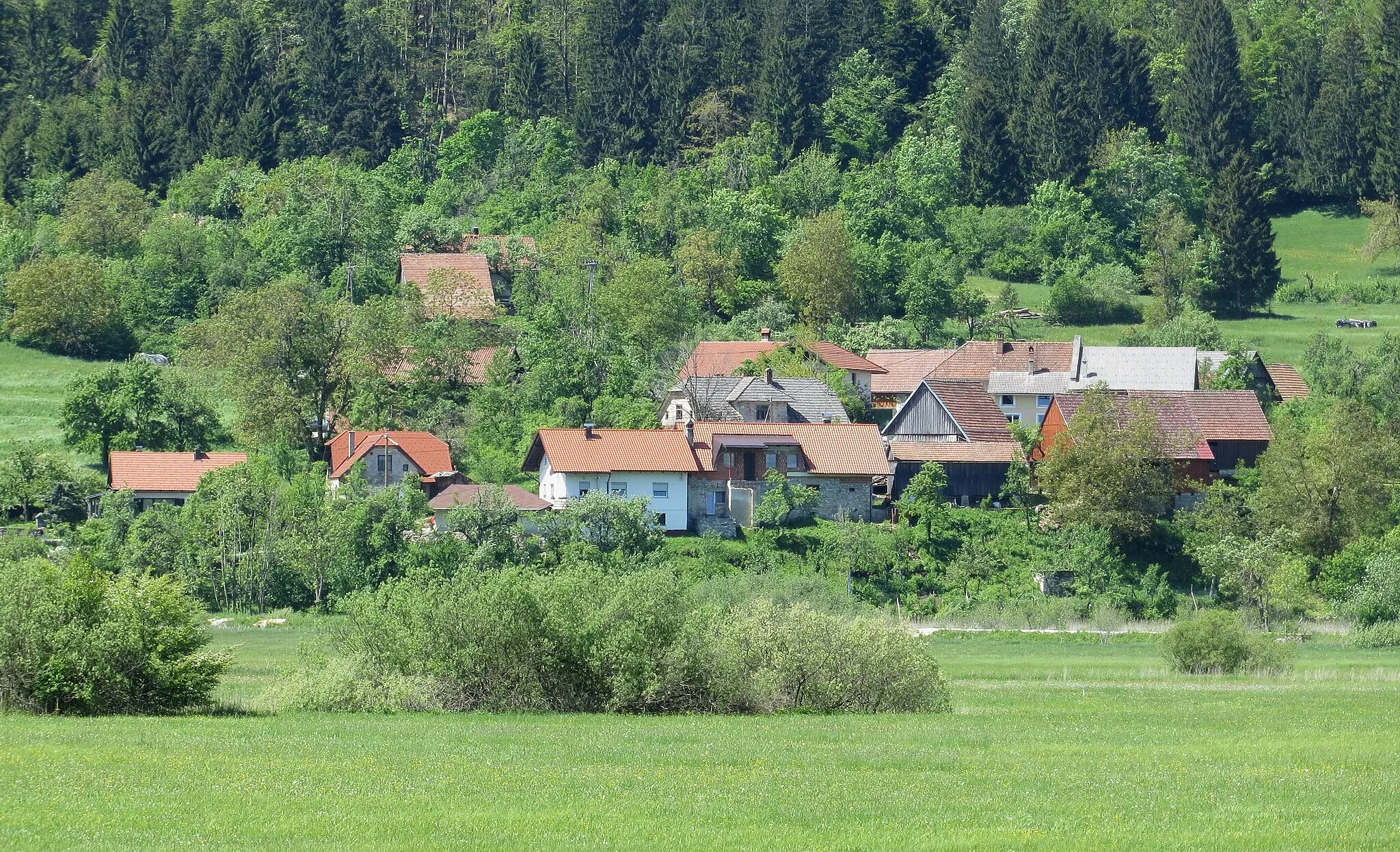 Photo showing: Laze pri Gorenjem Jezeru, Municipality of Cerknica, Slovenia