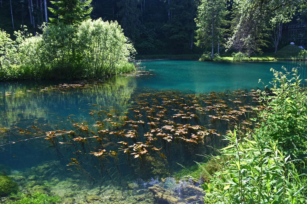 Photo showing: Rakitnica has a source near Dolenja vas, there it forms a small lake.