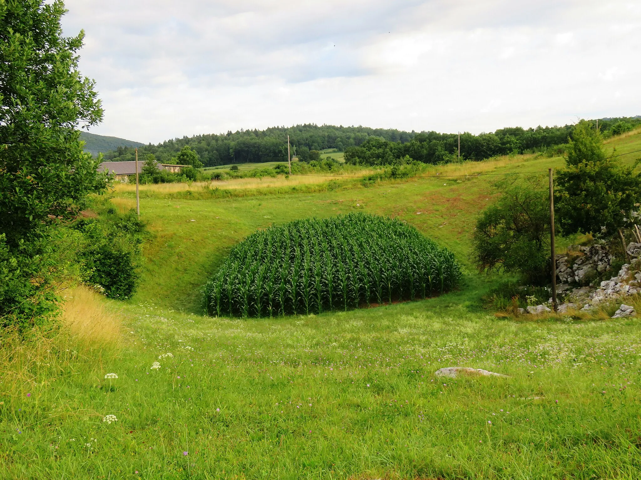 Photo showing: Cultivated sinkhole in Jama pri Dvoru, Municipality of Žužemberk, Slovenia