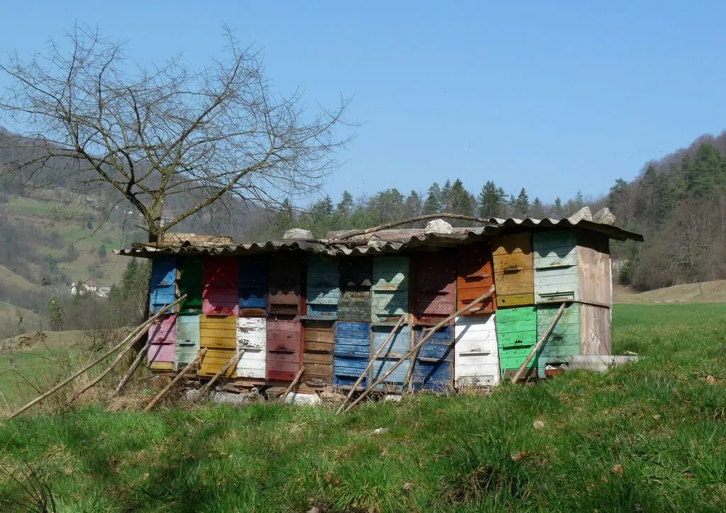 Photo showing: Čebelnjak.