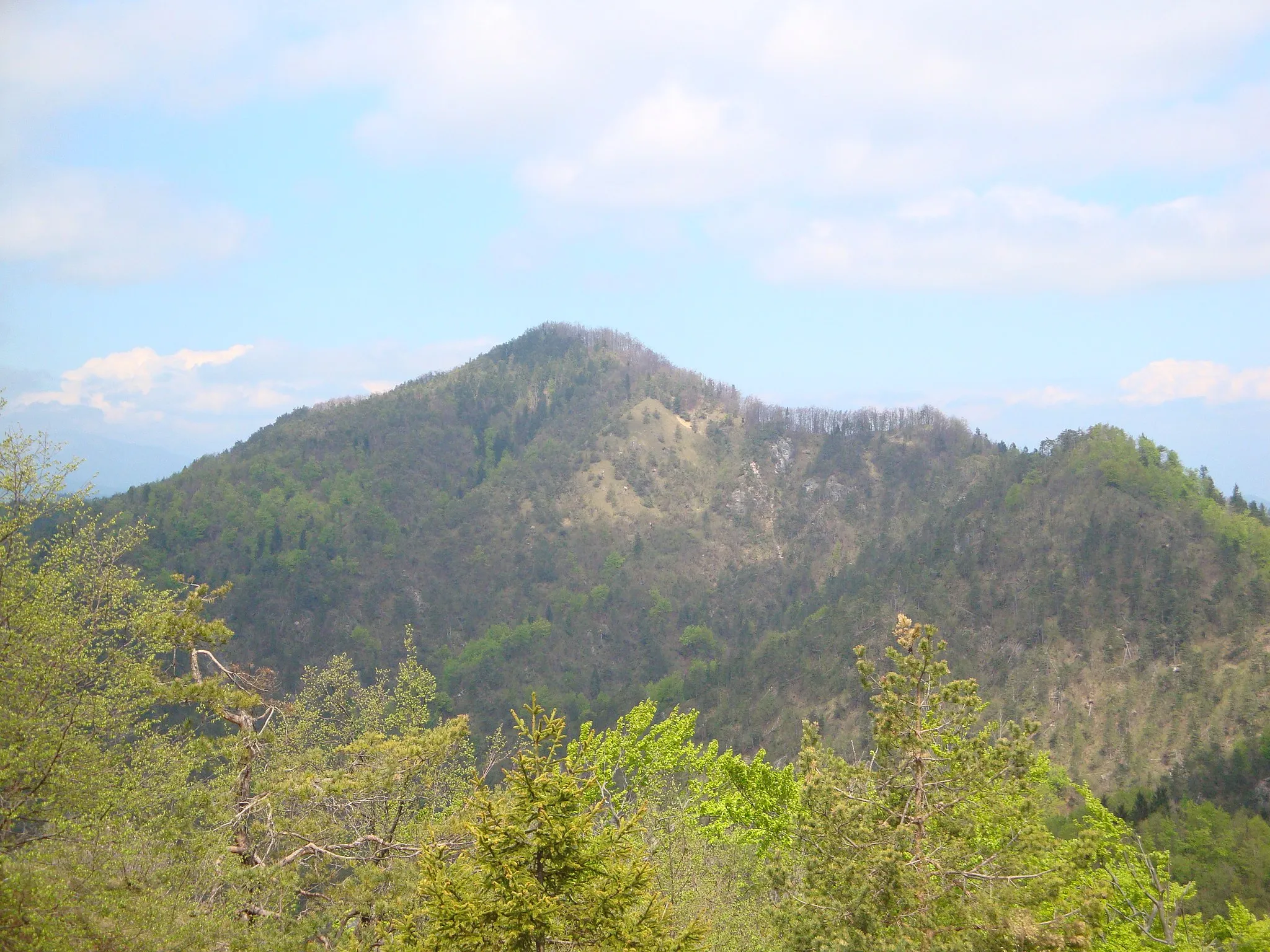 Photo showing: Tošč - pogled z Grmade.