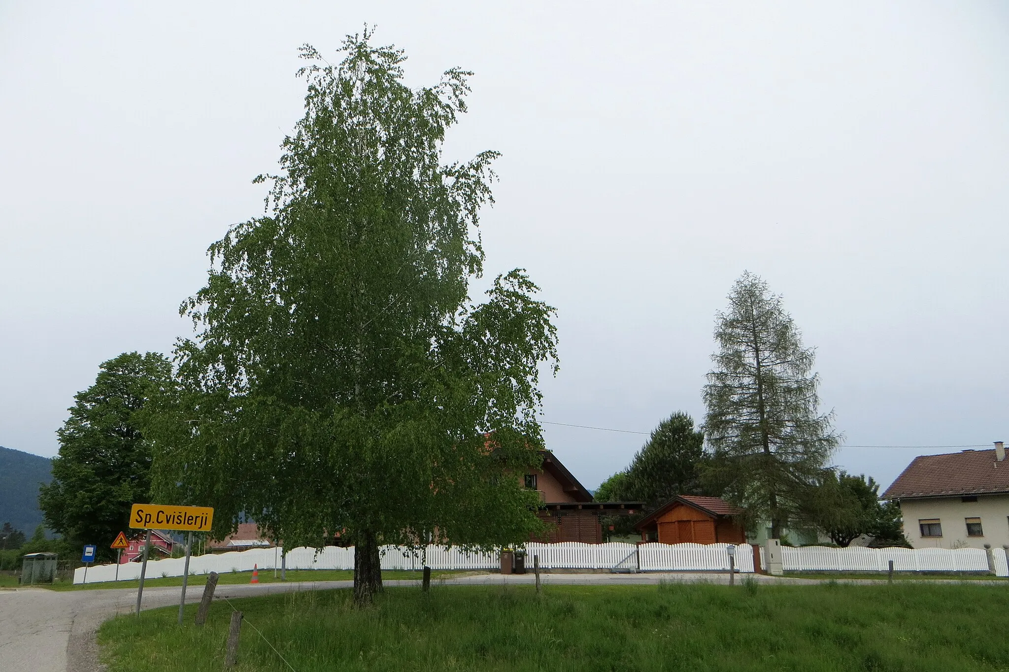 Photo showing: Spodnji Cvišlerji, a hamlet of Cvišlerji, Municipality of Kočevje, Slovenia