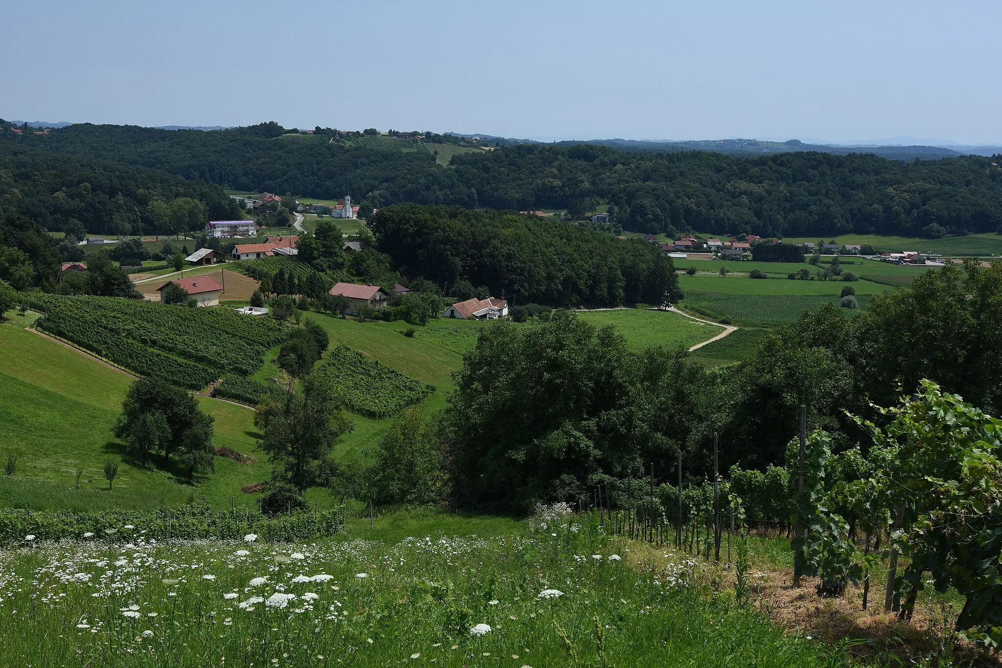 Photo showing: Juršinci Landschaft