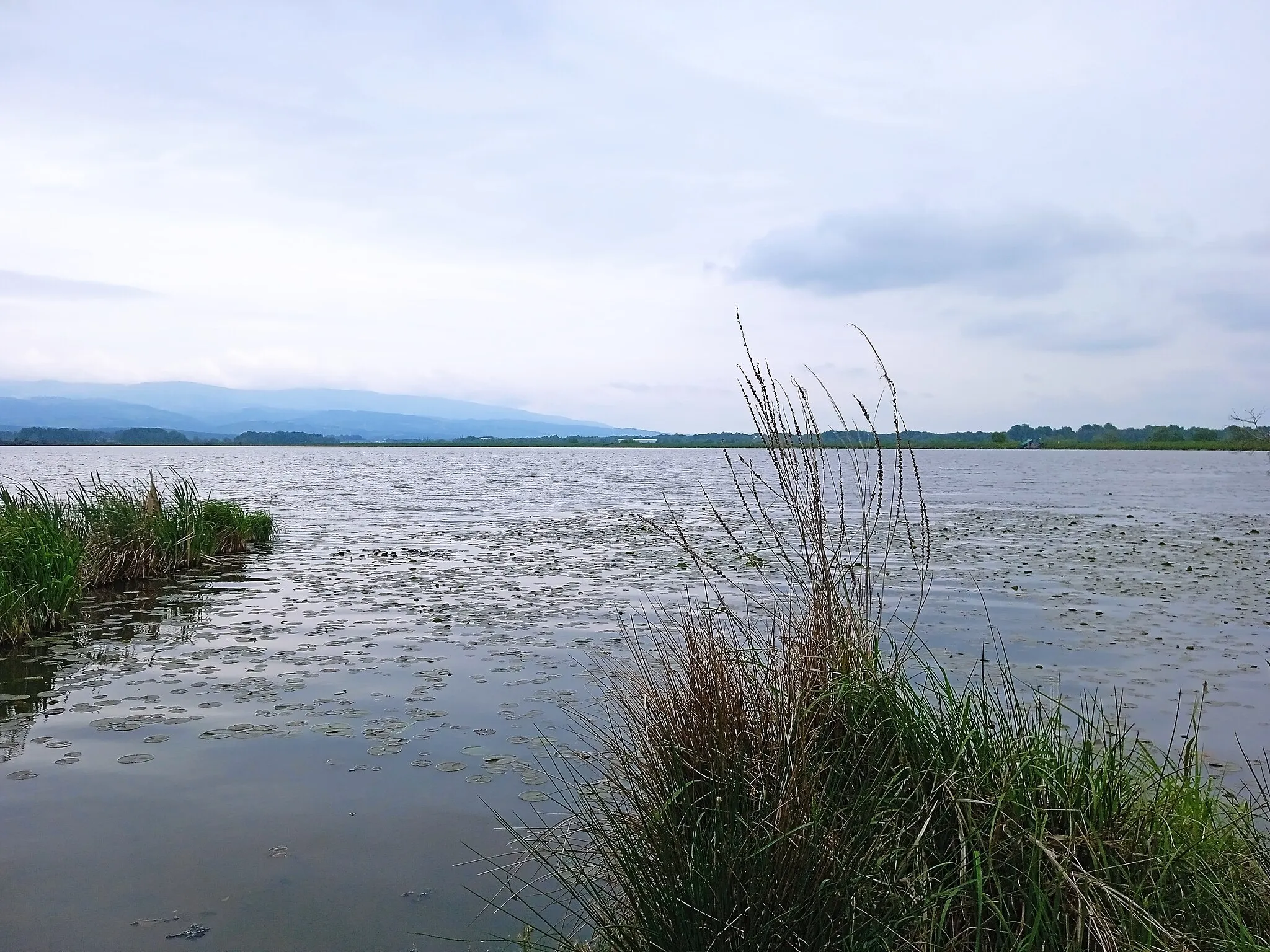 Photo showing: Sestrško jezero, bogato z ribami in pticami.