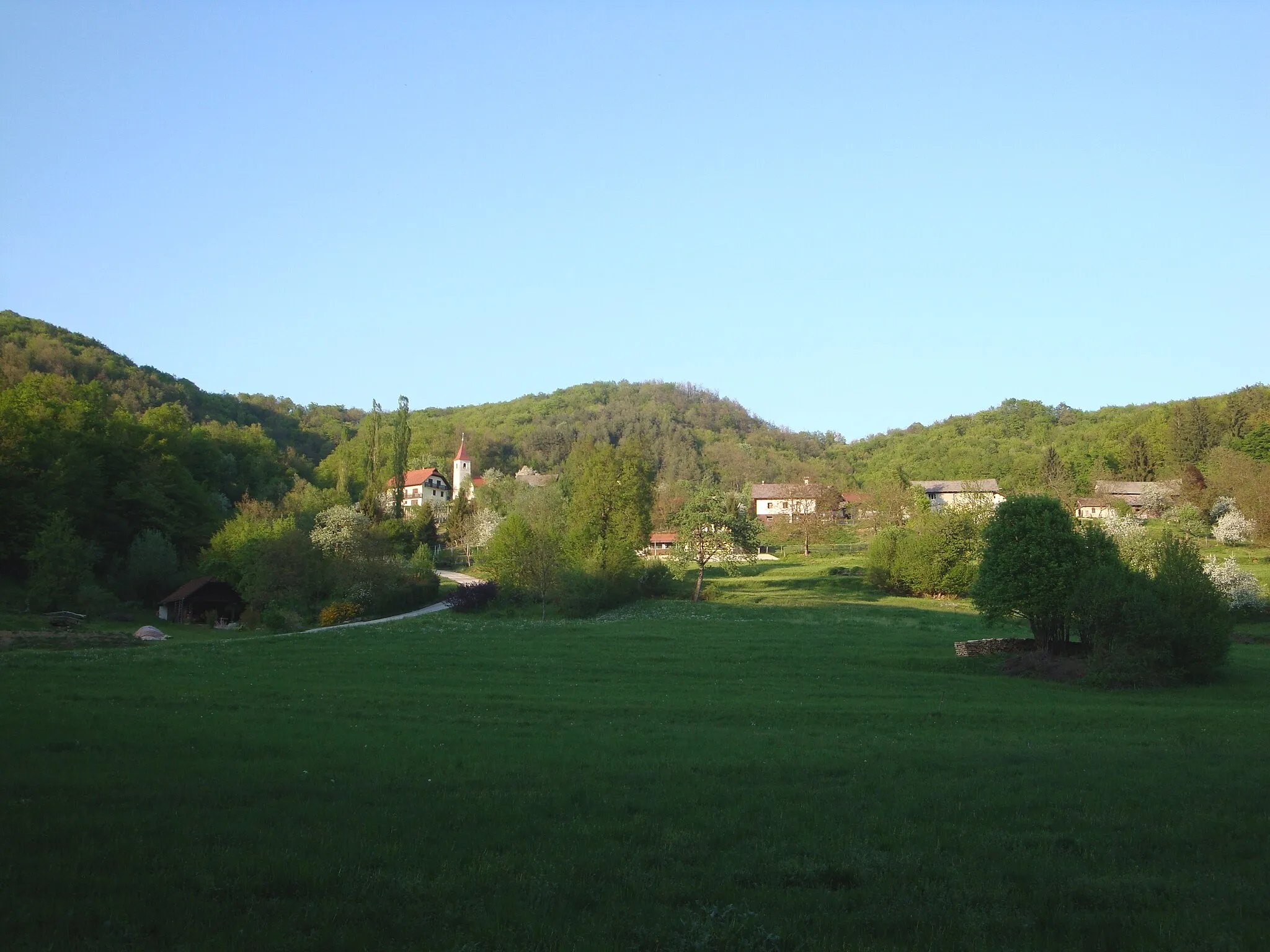 Photo showing: Močvirje pri Bučki na Dolenjskem.
