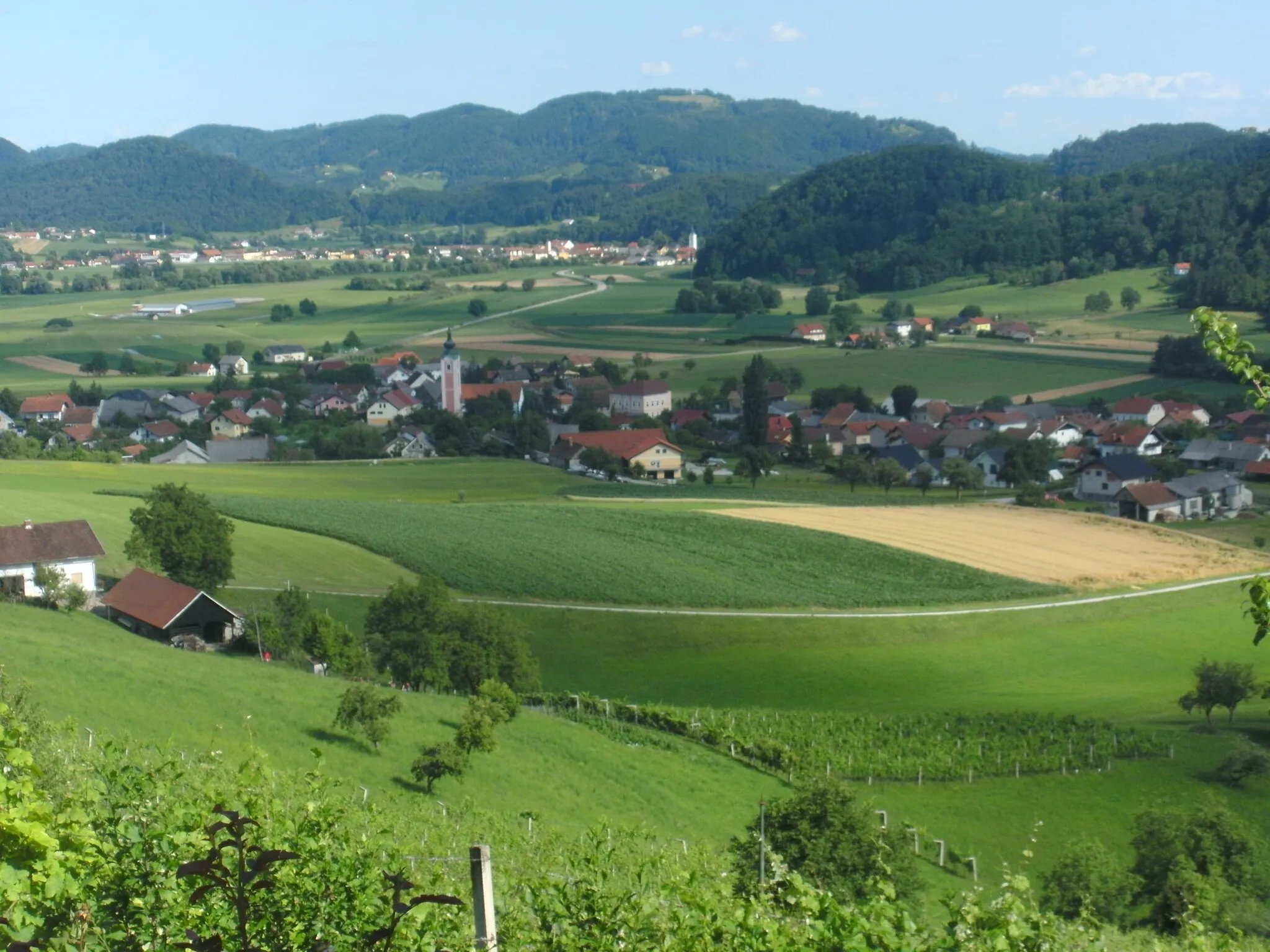Photo showing: A view of the village of Žiče. In the background, the village of Loče.
