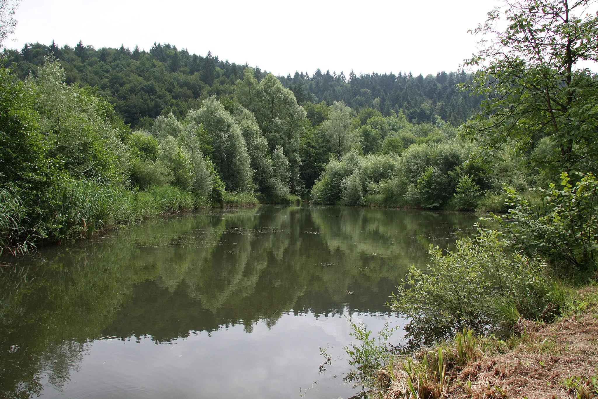 Photo showing: One of the Draga valley ponds near Ig, Slovenia.