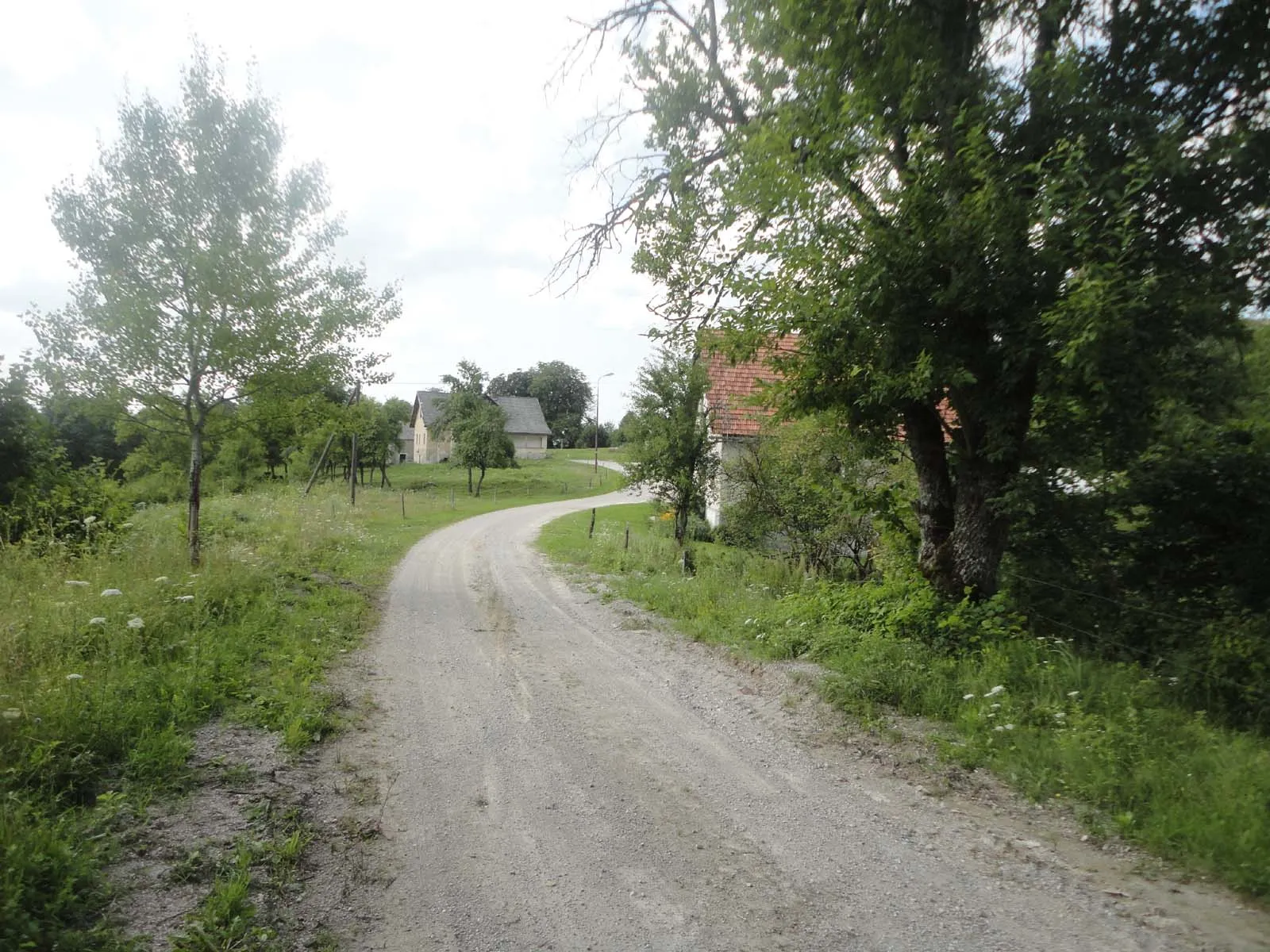 Photo showing: Rajhenav v Kočevskem Rogu: Pred drugo svetovno vojno je vas imela 50 hiš, danes stojita še dve.