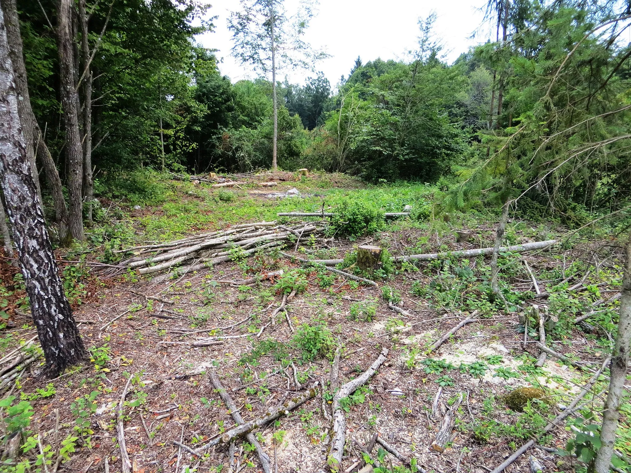 Photo showing: The site of the former church in Kleč, Municipality of Kočevje, Slovenia