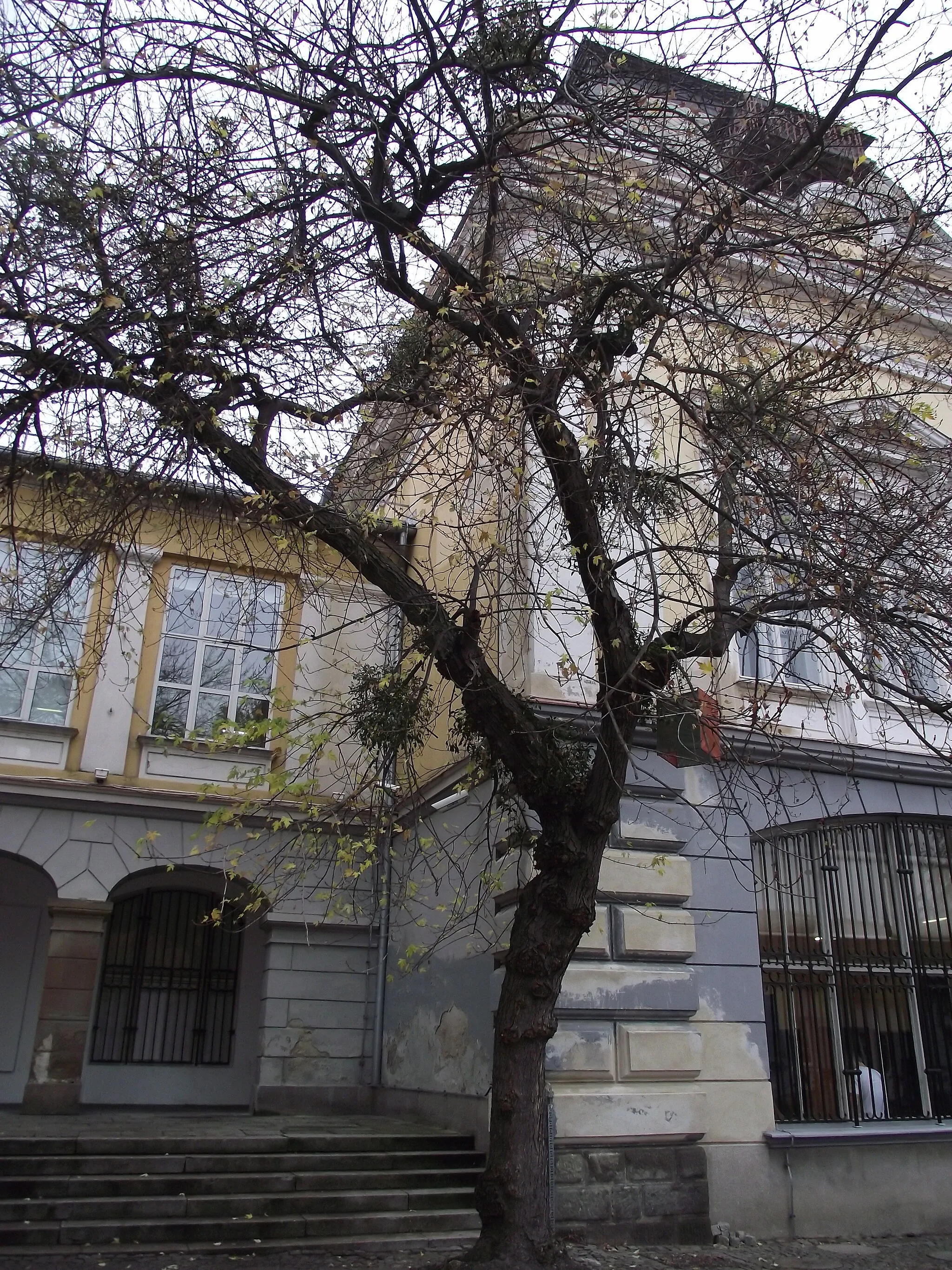 Photo showing: Maribor Art Gallery at Gödel-Lannoy palace