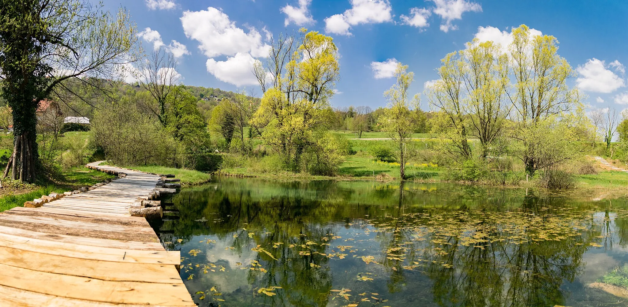 Photo showing: Jelševniščica spring in Bela krajina is the only place where the Black olm (Proteus anguinus parkelj) can be studied in Slovenia. The Black proteus is a subspecies to the Olm (Proteus anguinus).